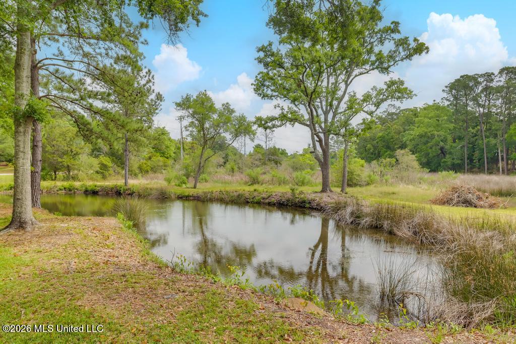 14101 Lemoyne Boulevard Property Photo 47