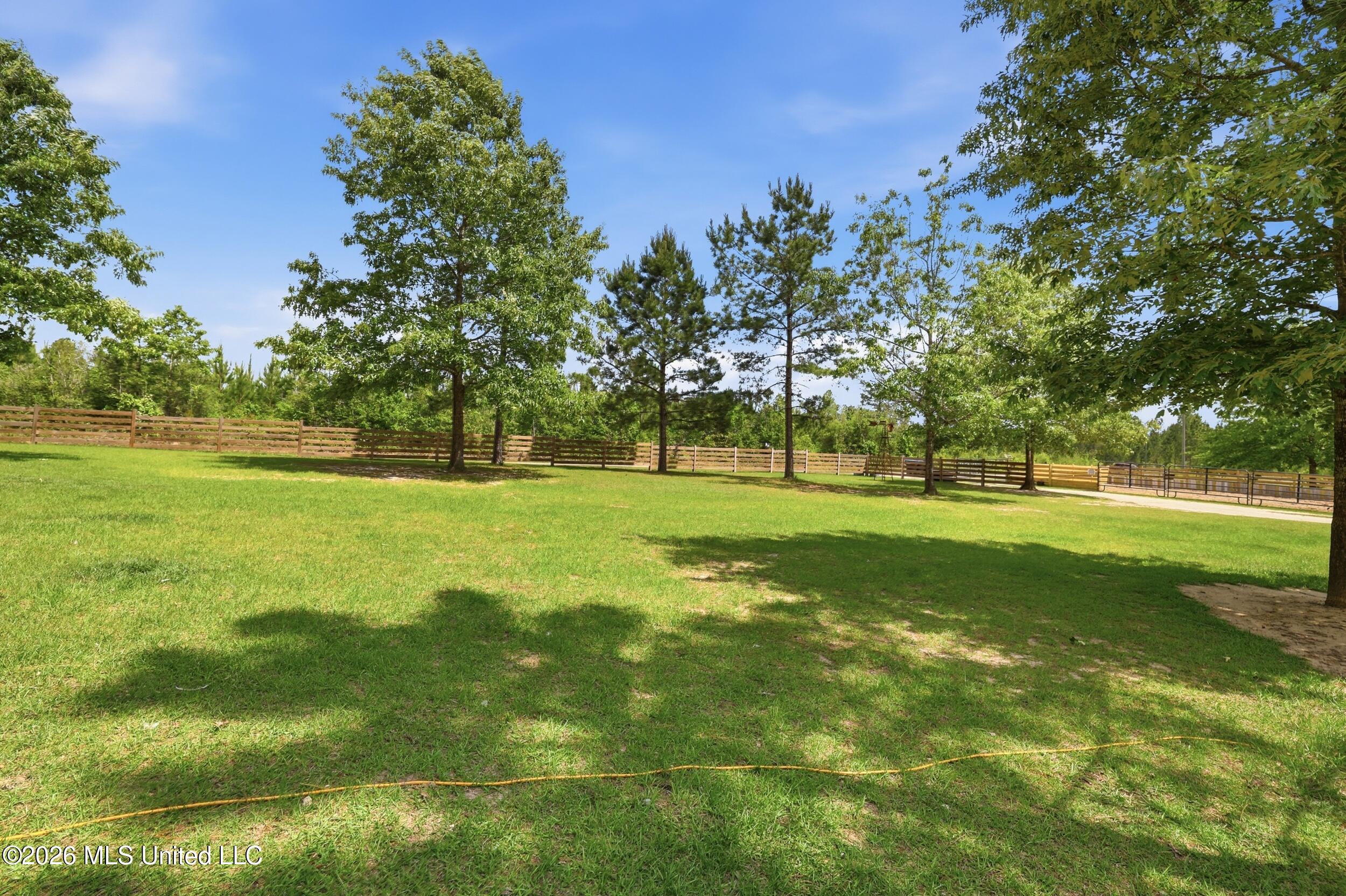 239 M P Parker Road Property Photo 8