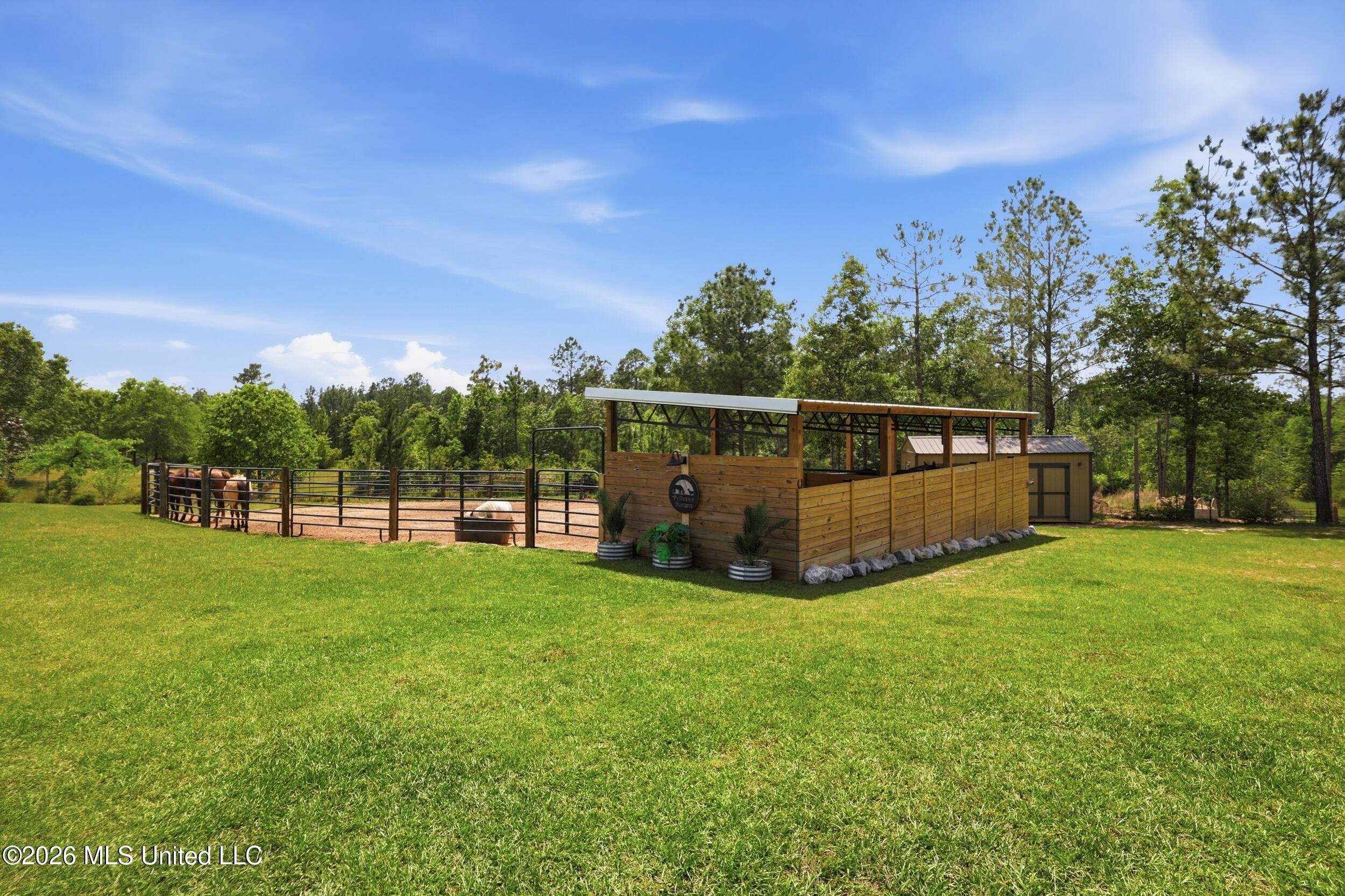 239 M P Parker Road Property Photo 39