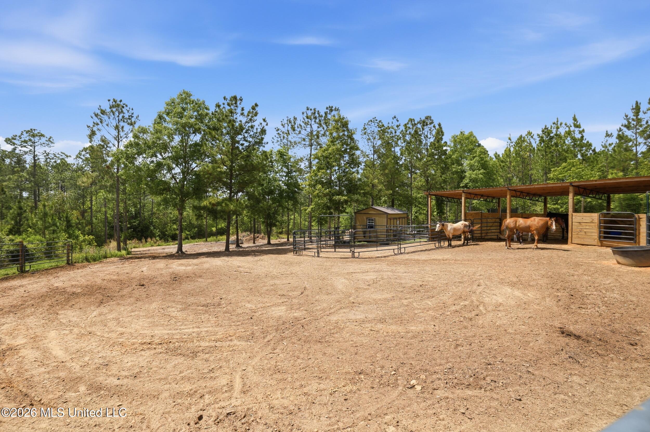 239 M P Parker Road Property Photo 40