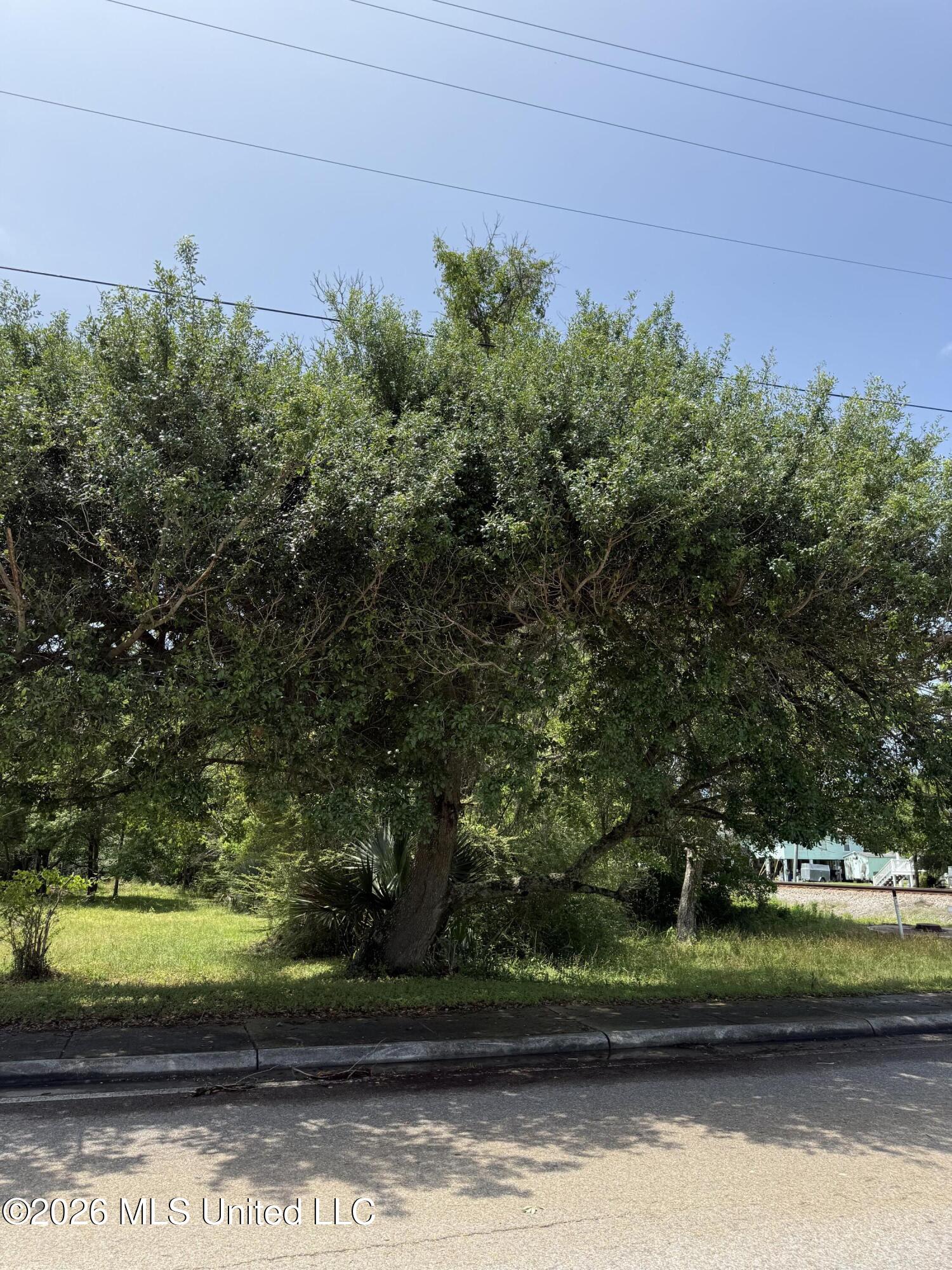 Henderson Avenue Property Photo 1