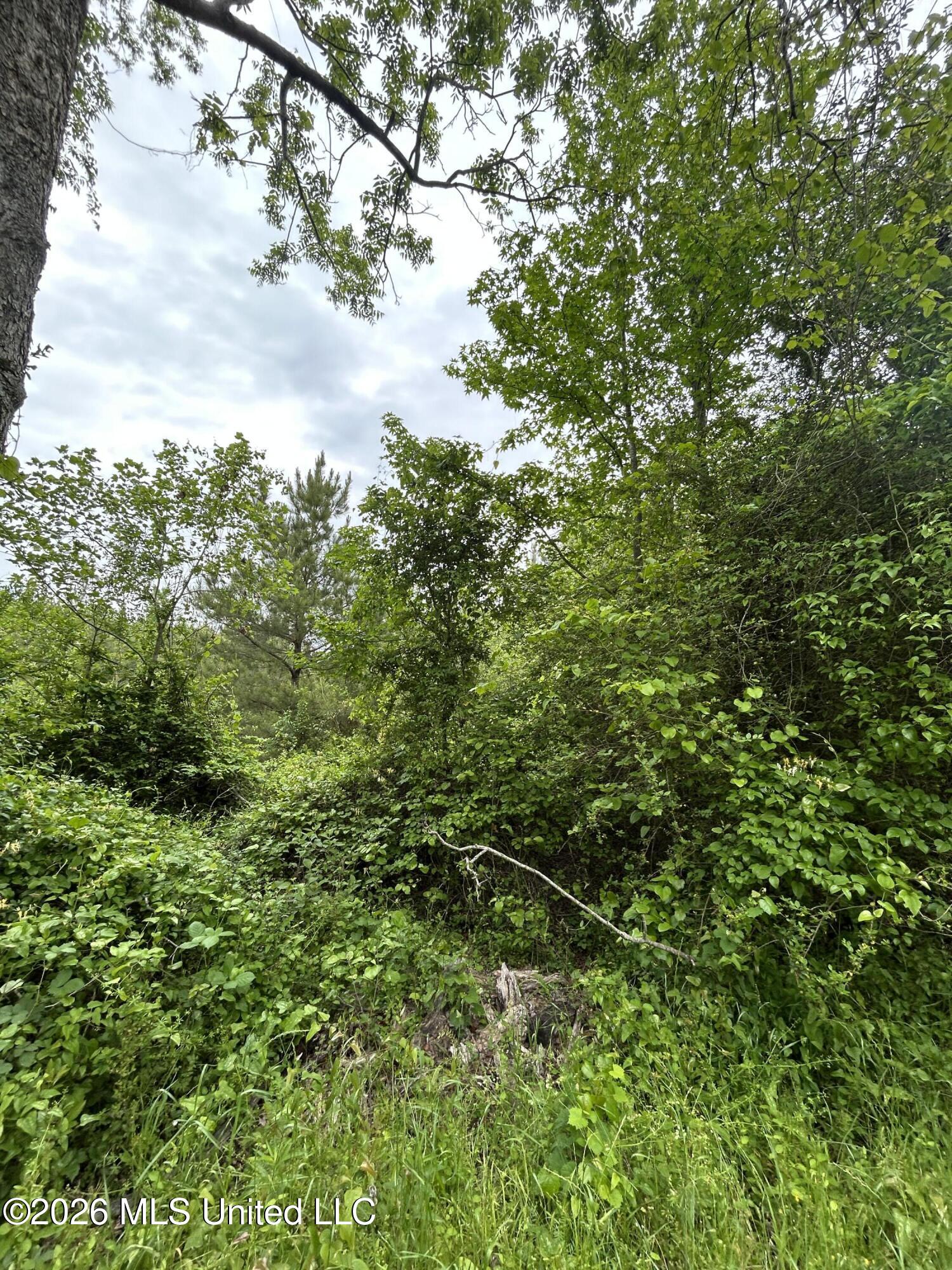 County Road 123 Property Photo 2