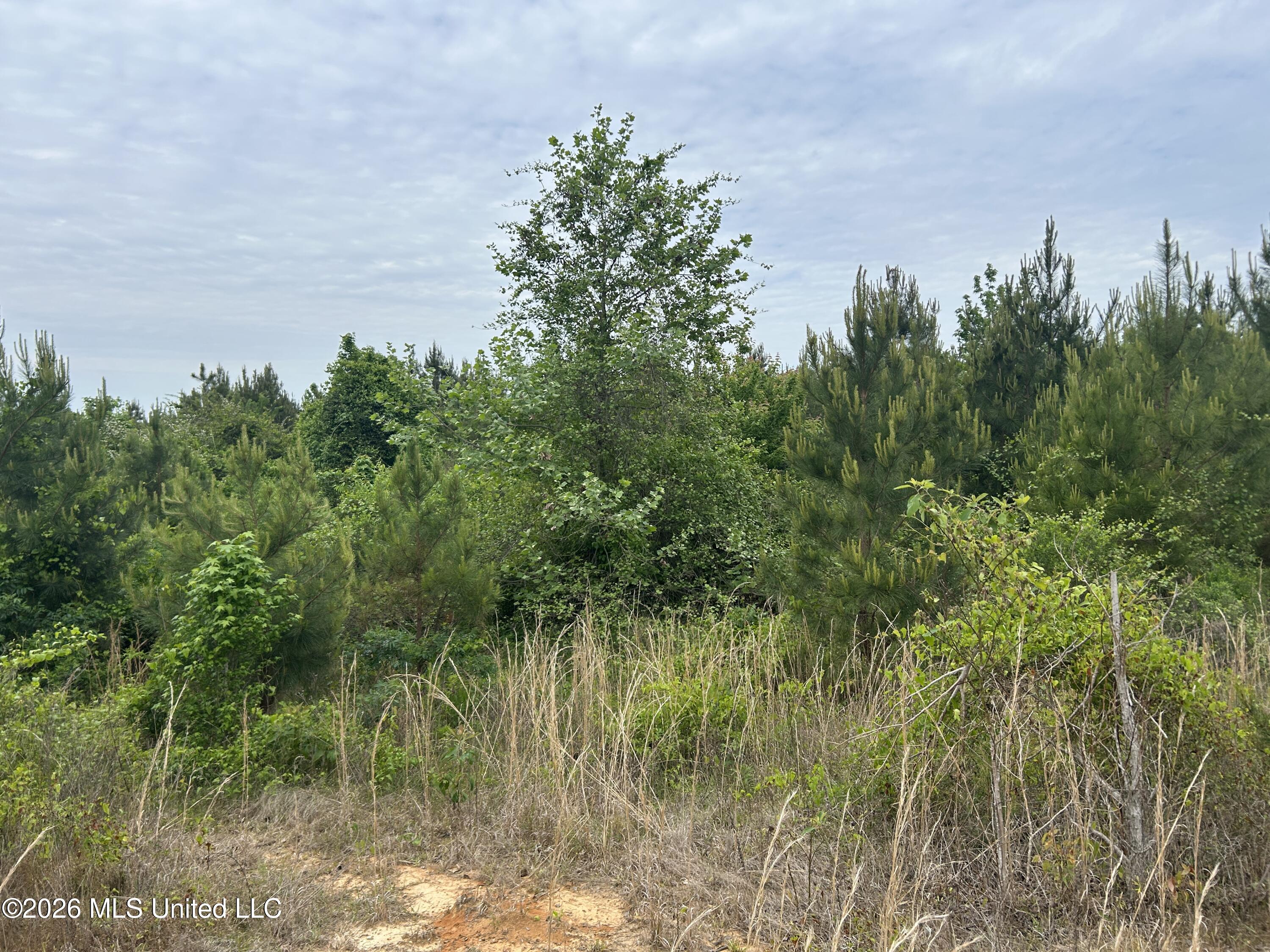 County Road 123 Property Photo 4