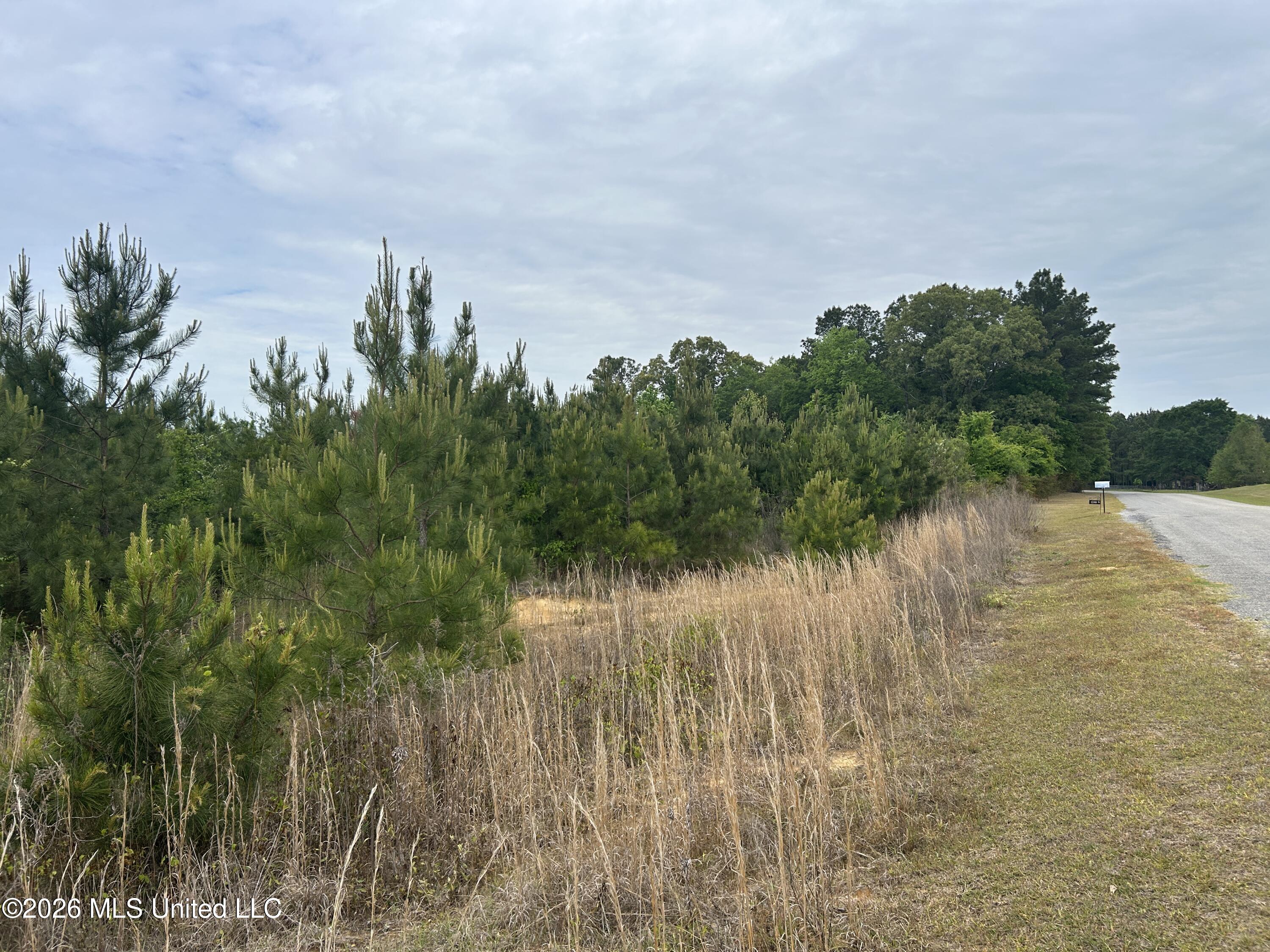 County Road 123 Property Photo 5