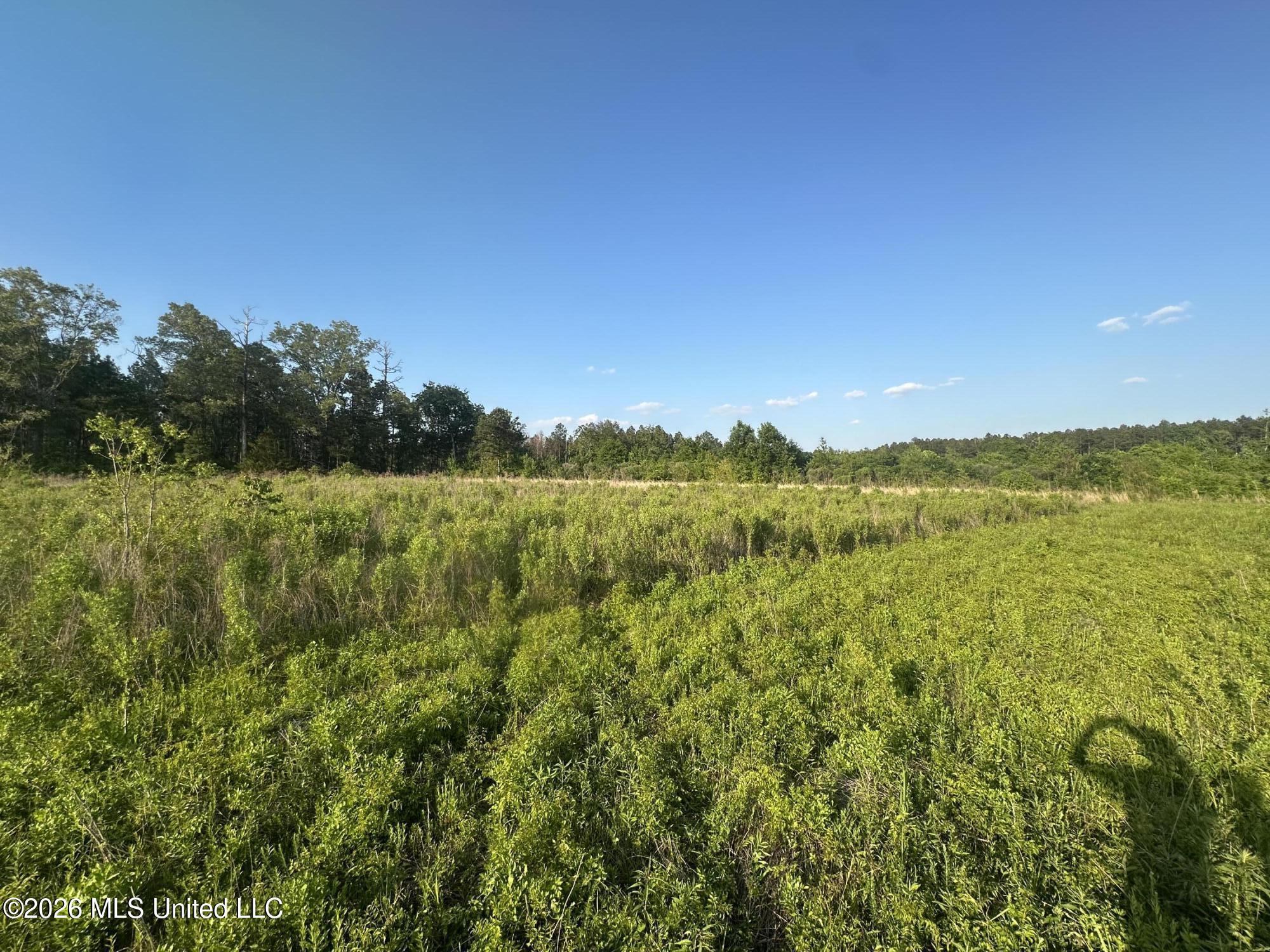 Ms-471 Property Photo 17