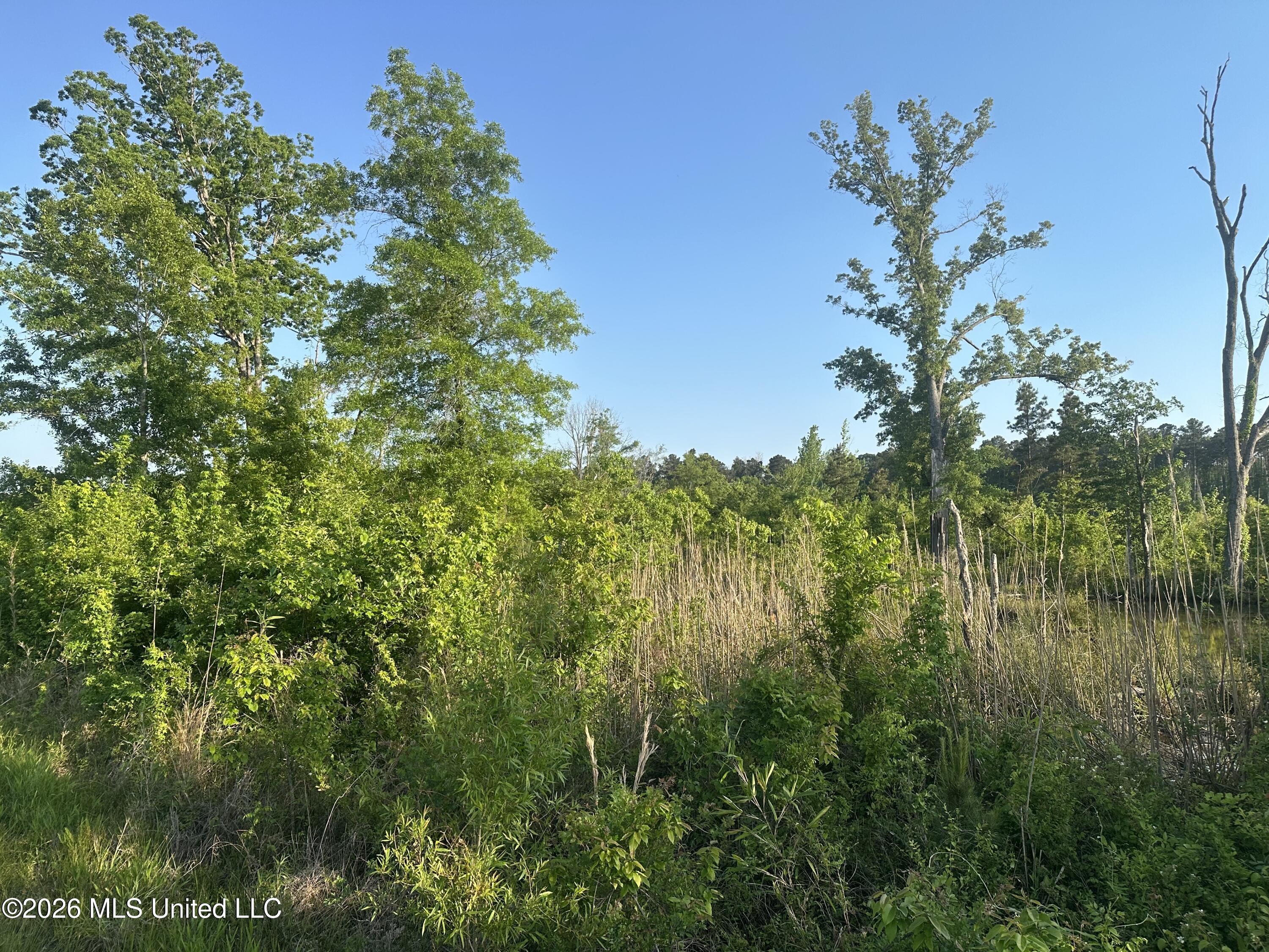 Ms-471 Property Photo 19