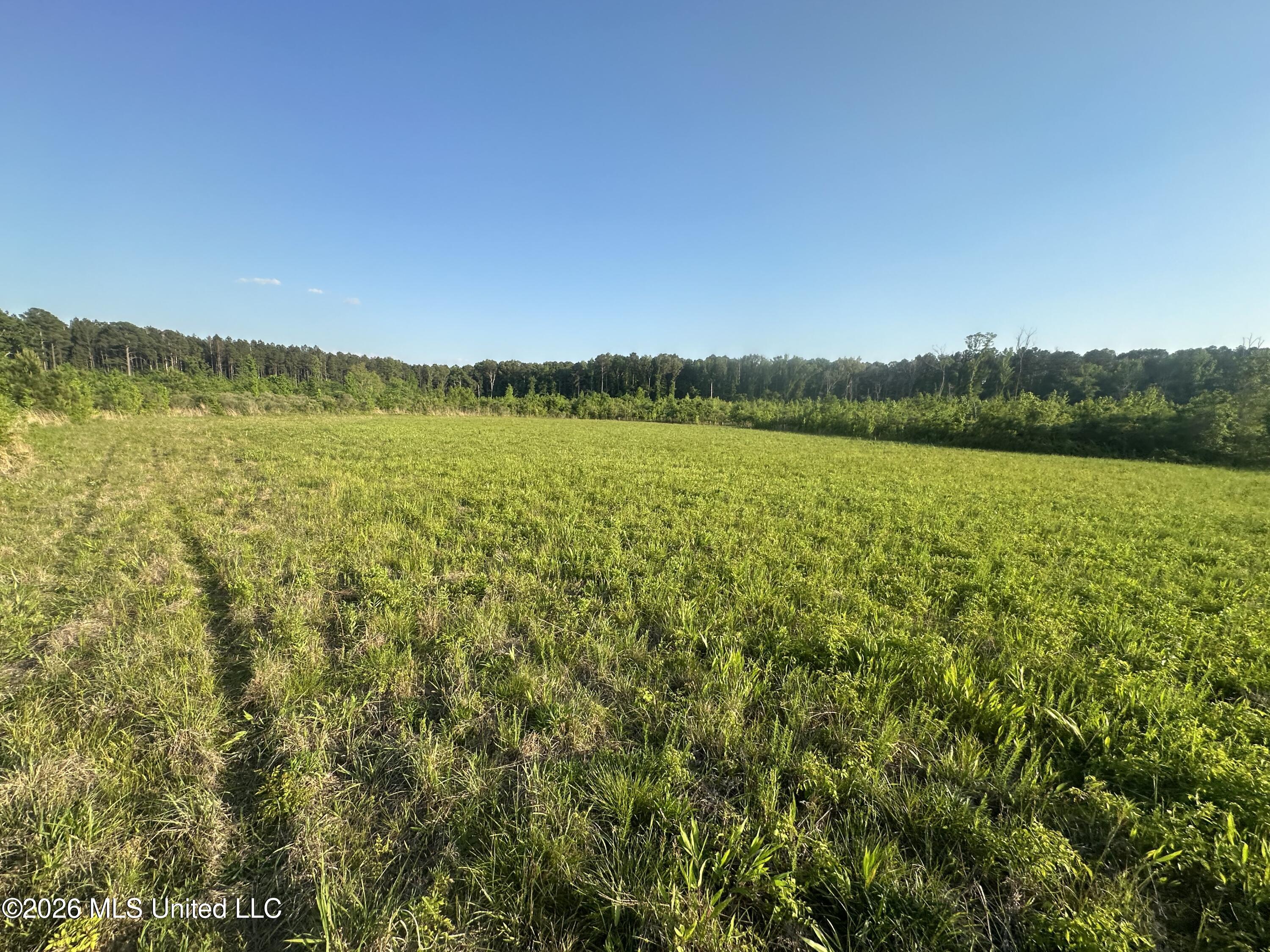 Ms-471 Property Photo 20