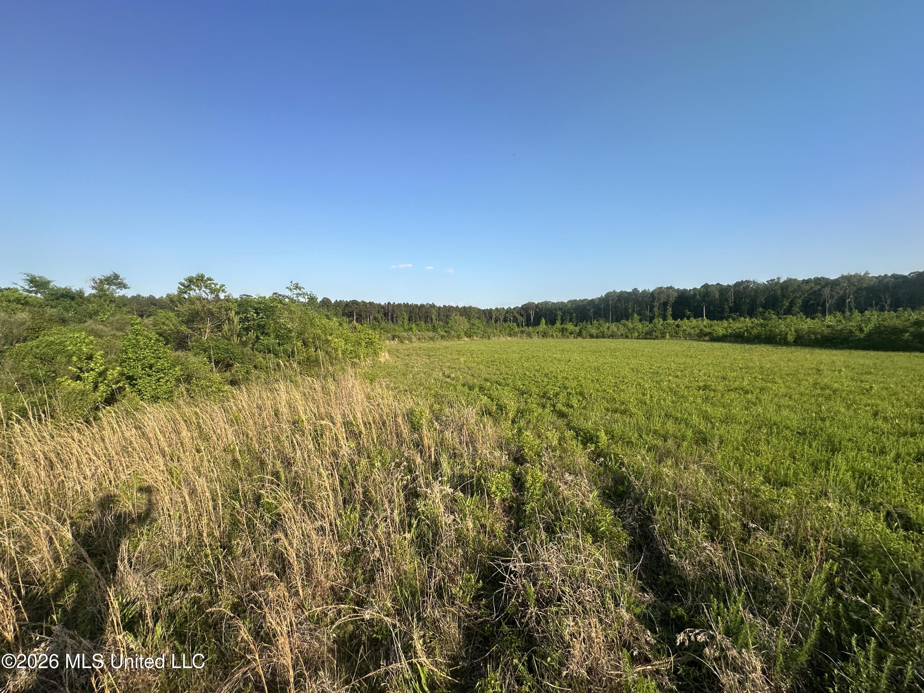 Ms-471 Property Photo 21