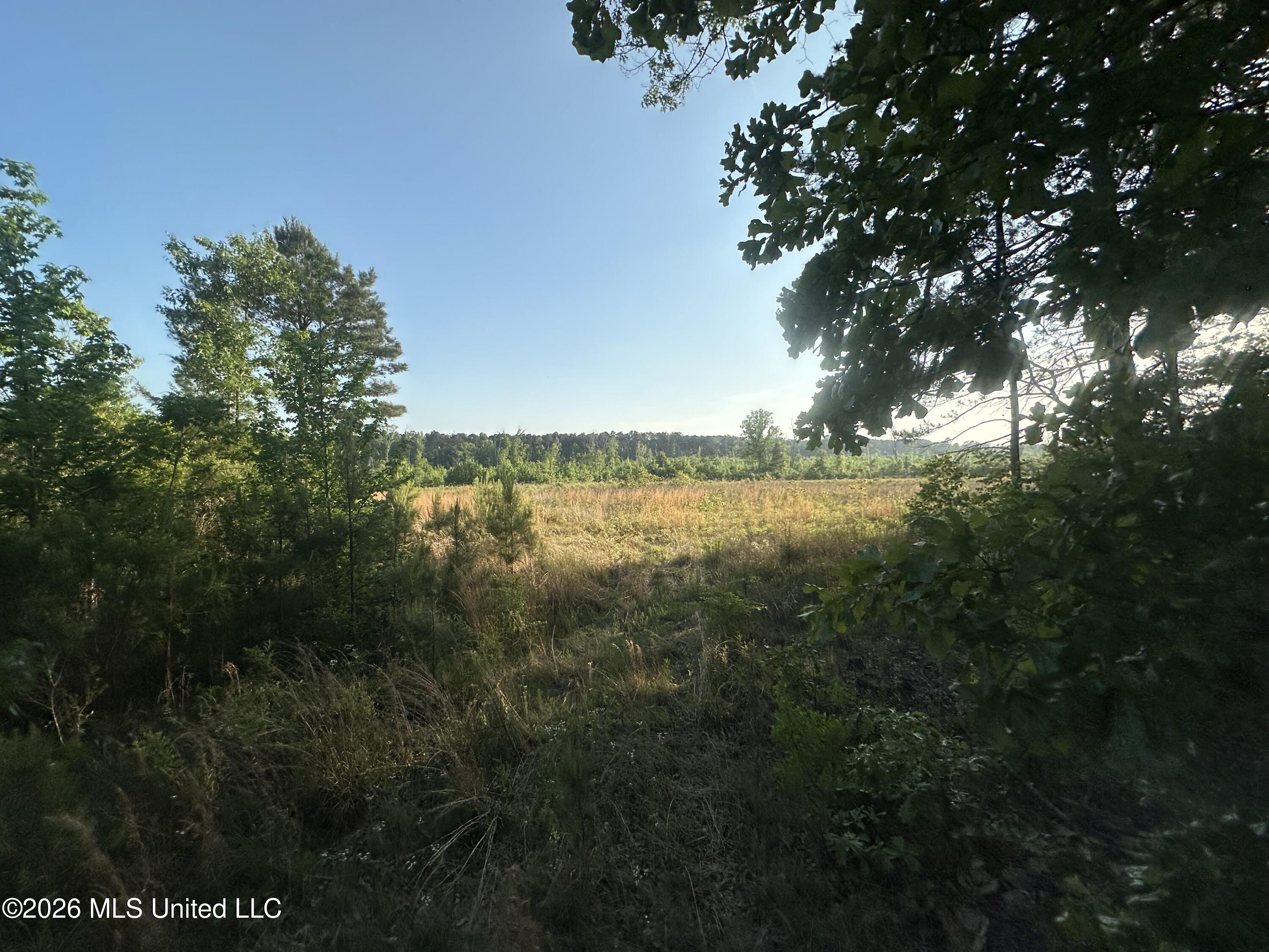 Ms-471 Property Photo 22