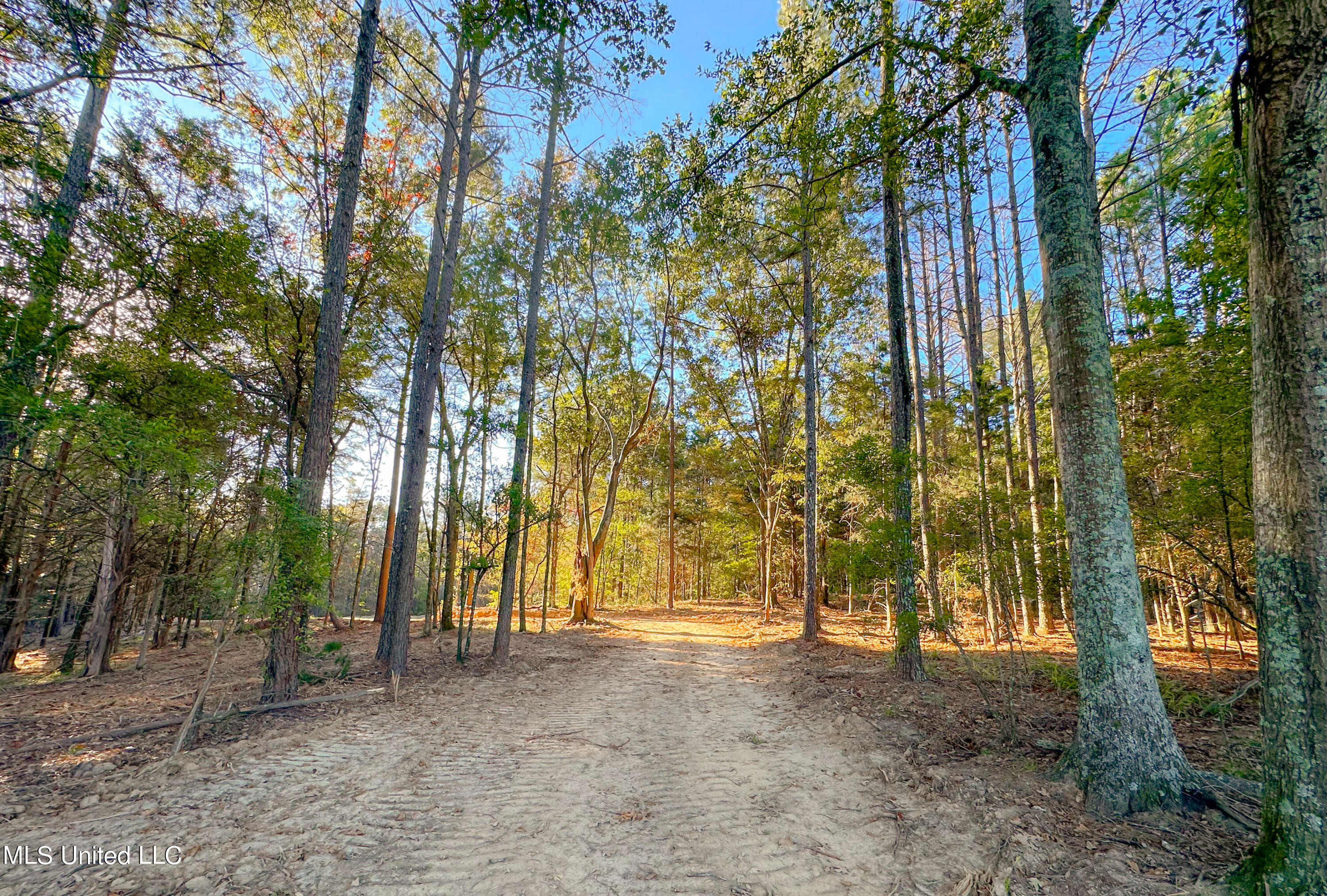 Mount Leopard Road Property Photo 1