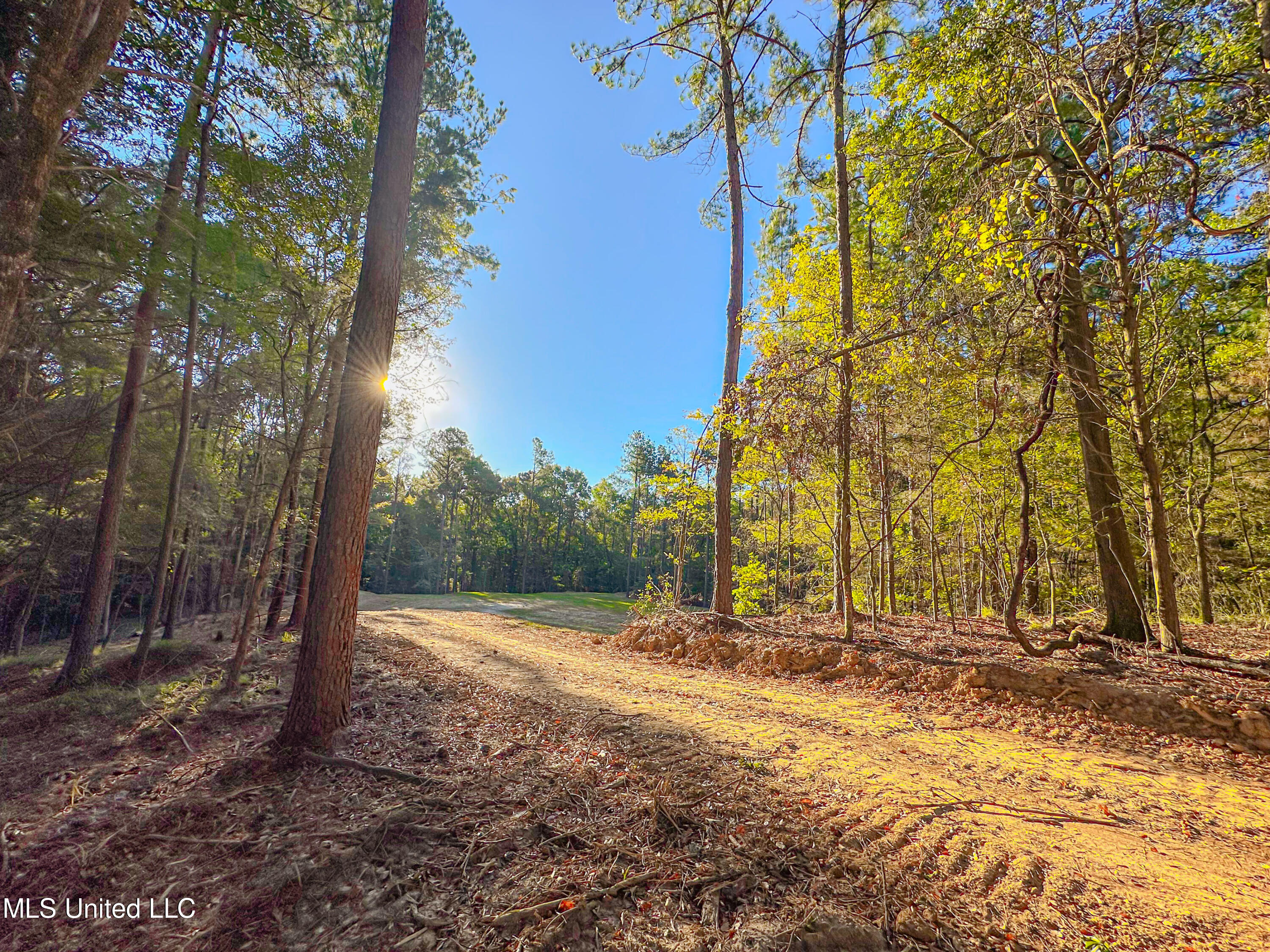 Mount Leopard Road Property Photo 2