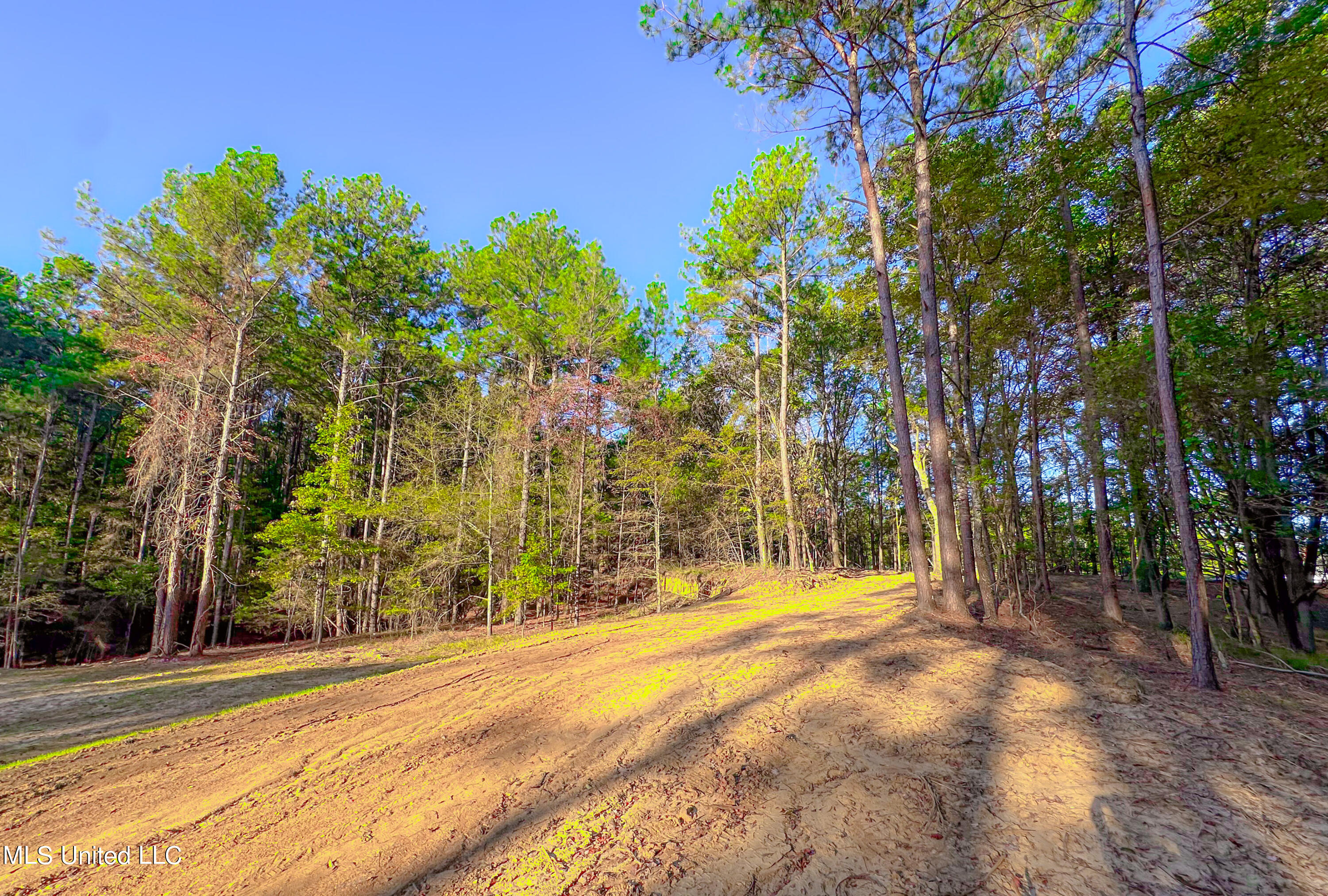 Mount Leopard Road Property Photo 3