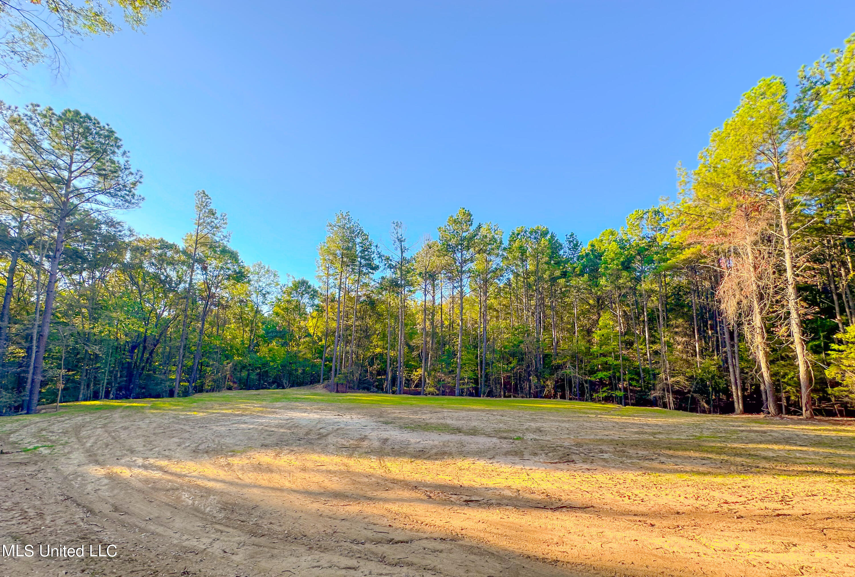 Mount Leopard Road Property Photo 4