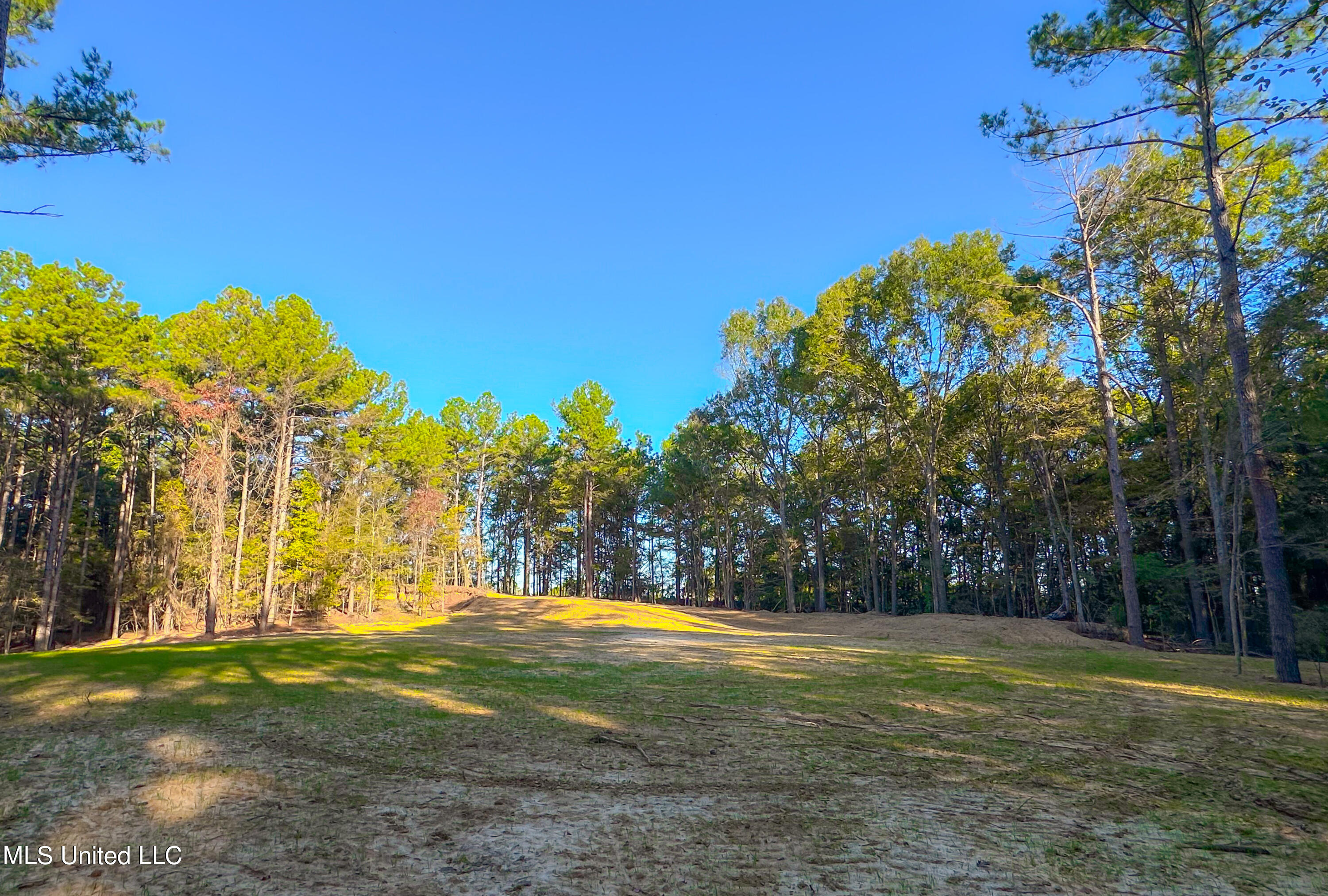 Mount Leopard Road Property Photo 6