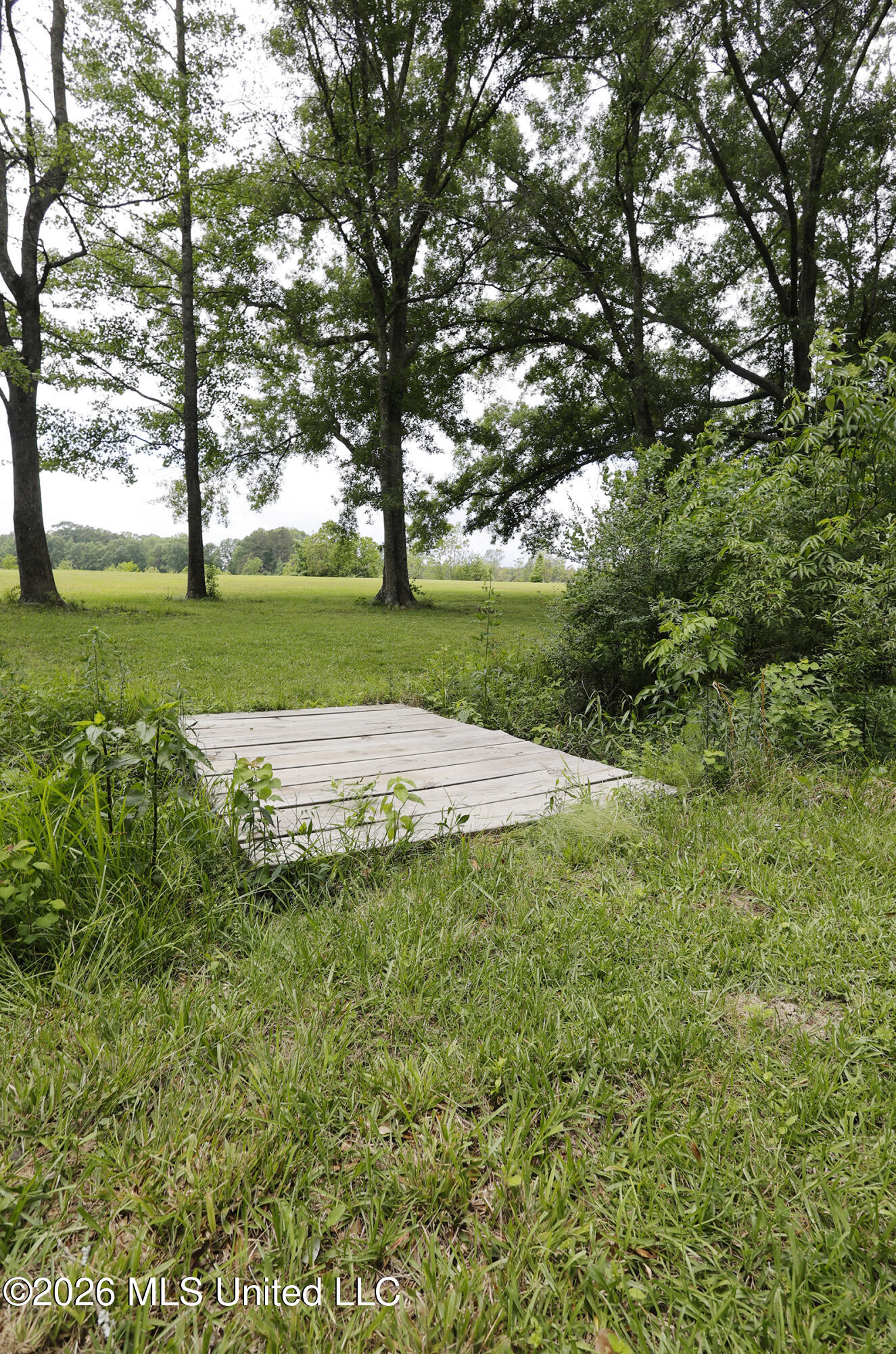 1024 Walker Lane Property Photo 13