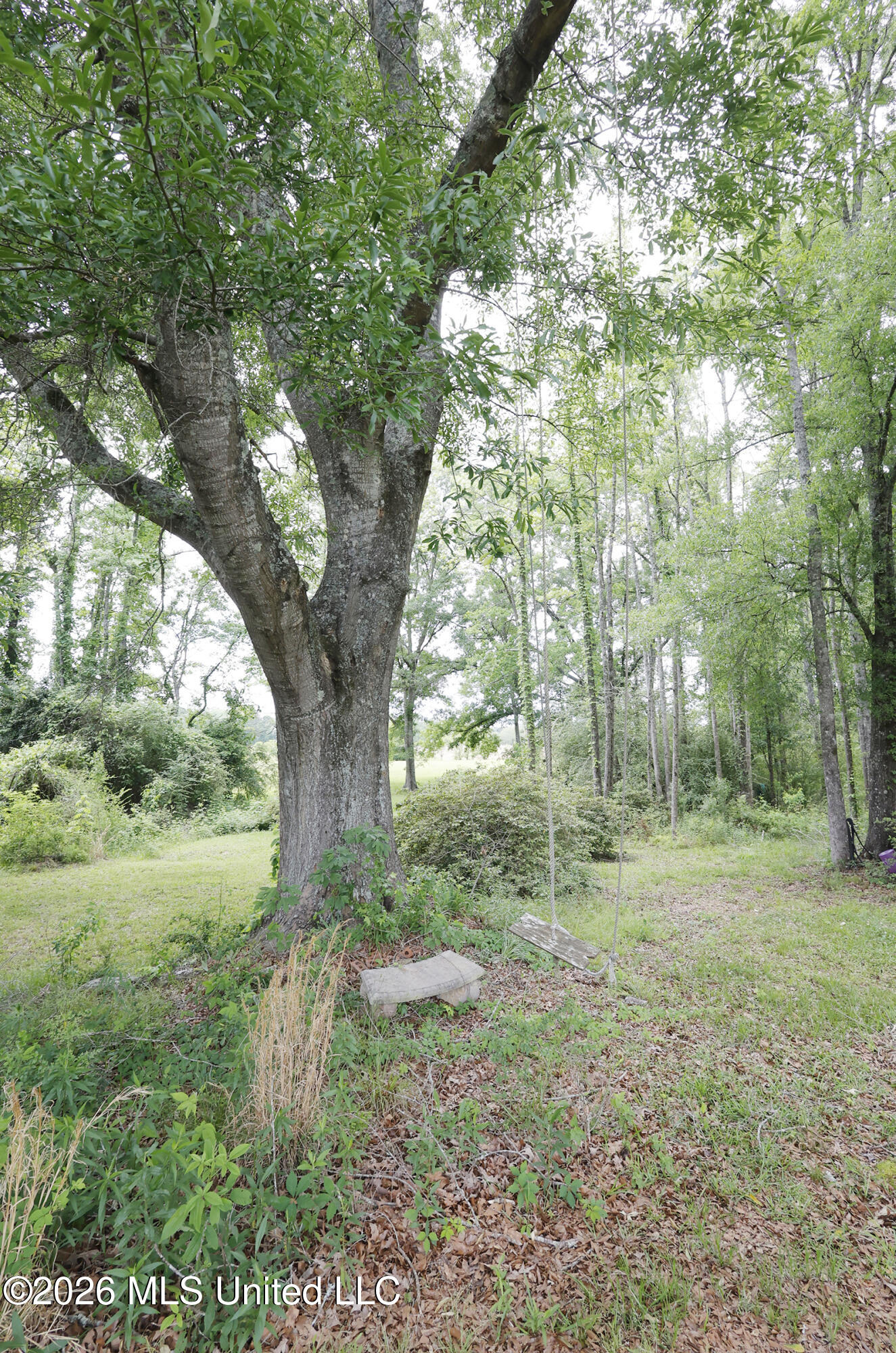 1024 Walker Lane Property Photo 19