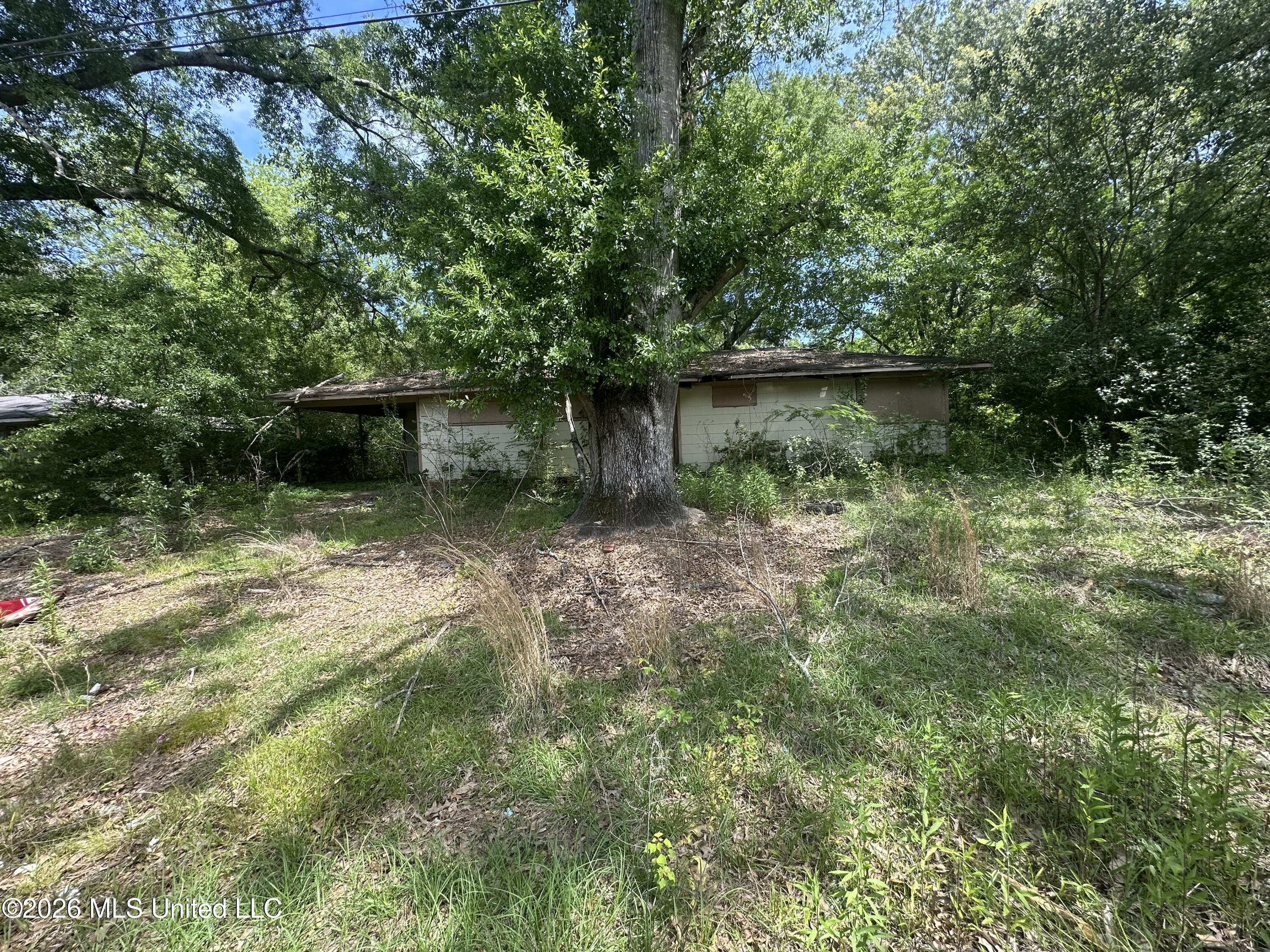 3236 Corey Drive Property Photo 1