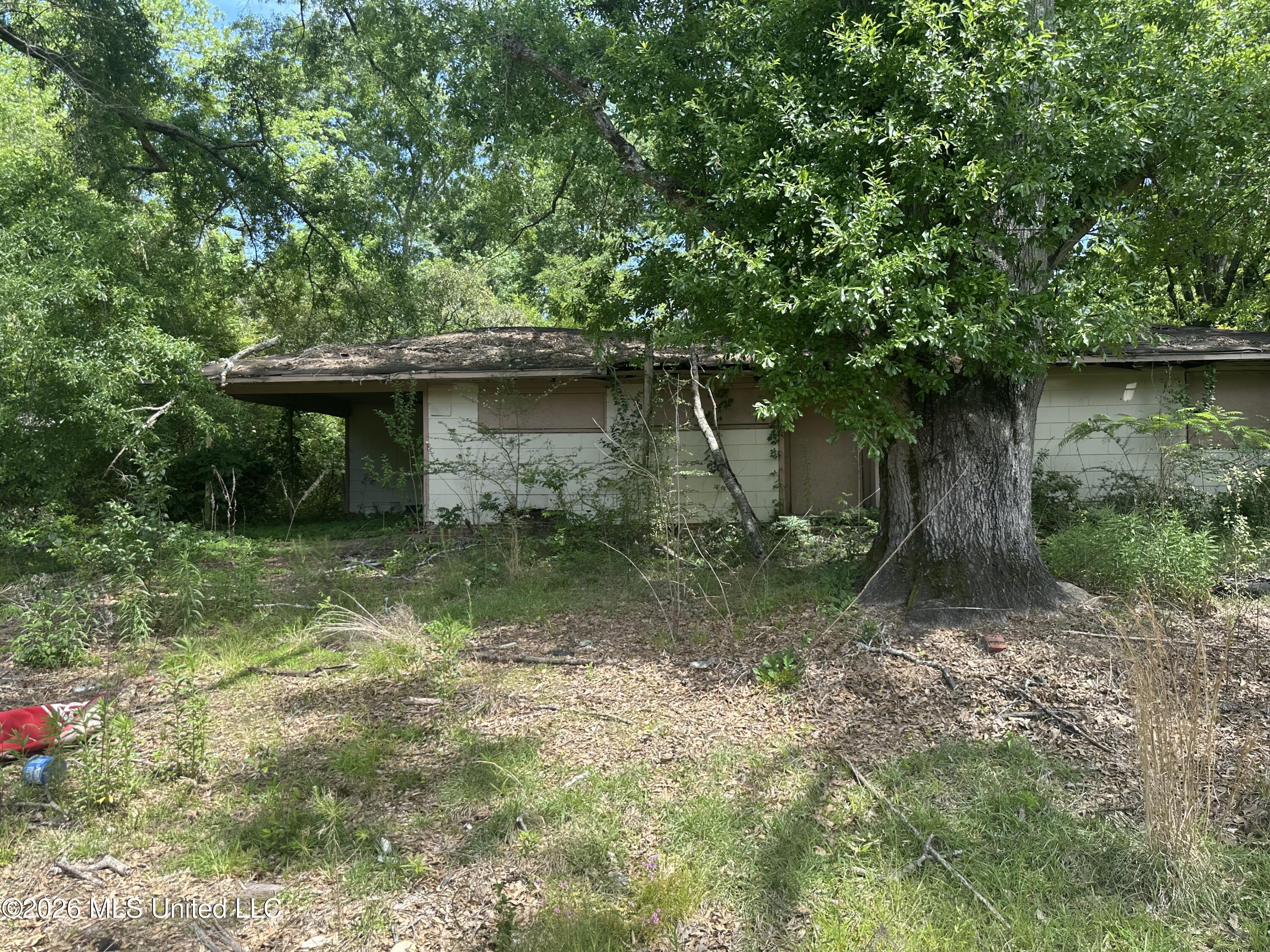 3236 Corey Drive Property Photo 3