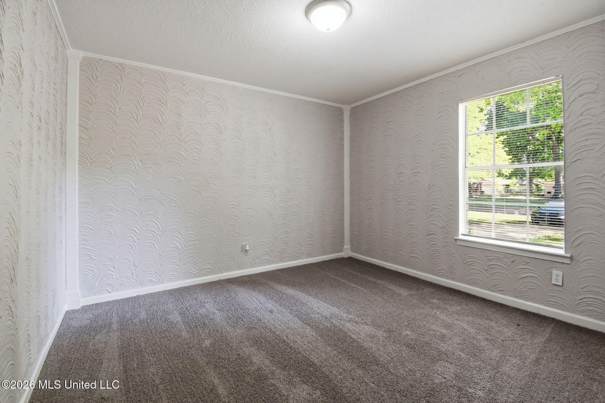 6460 Birchfield Circle Property Photo 9