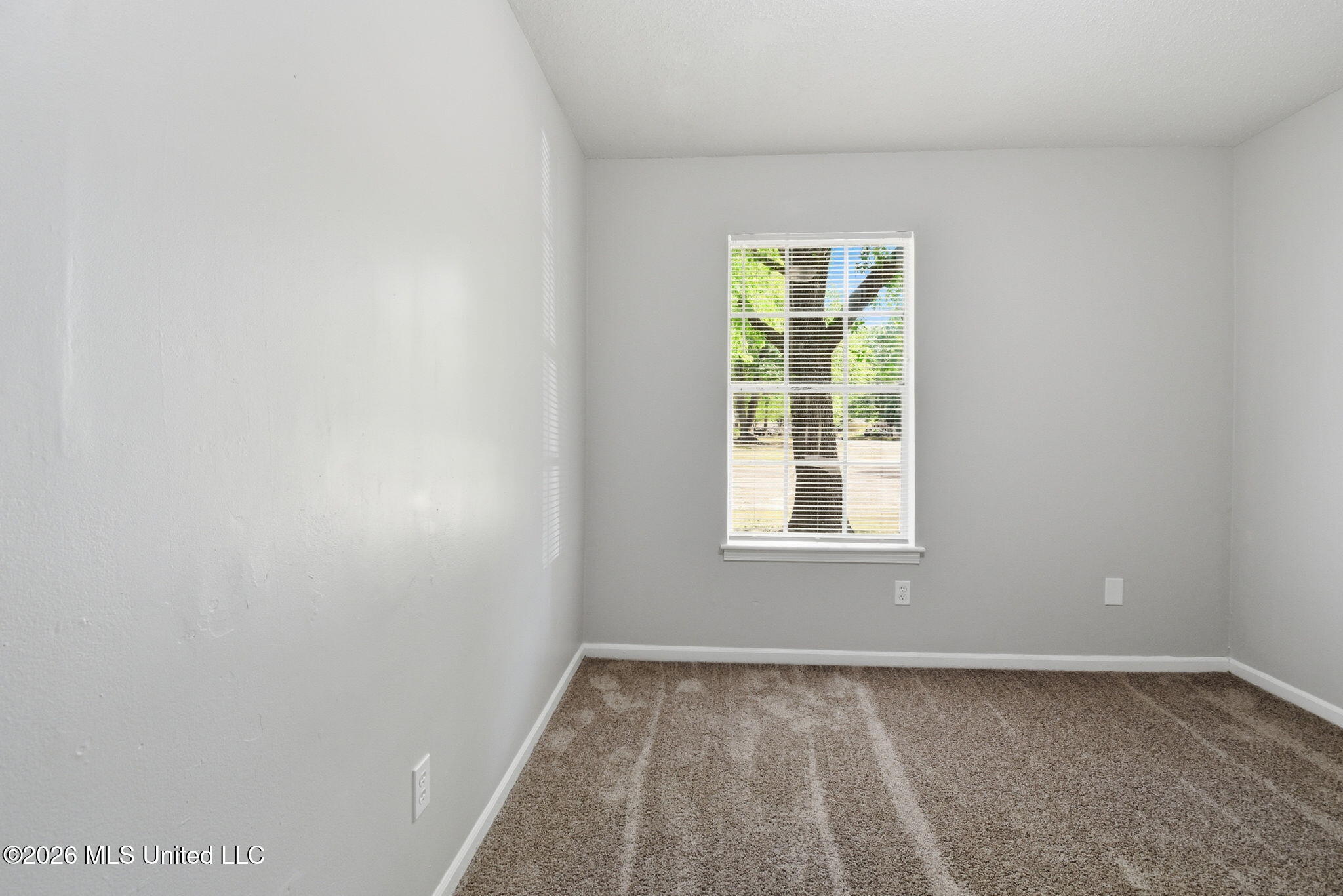 6460 Birchfield Circle Property Photo 13