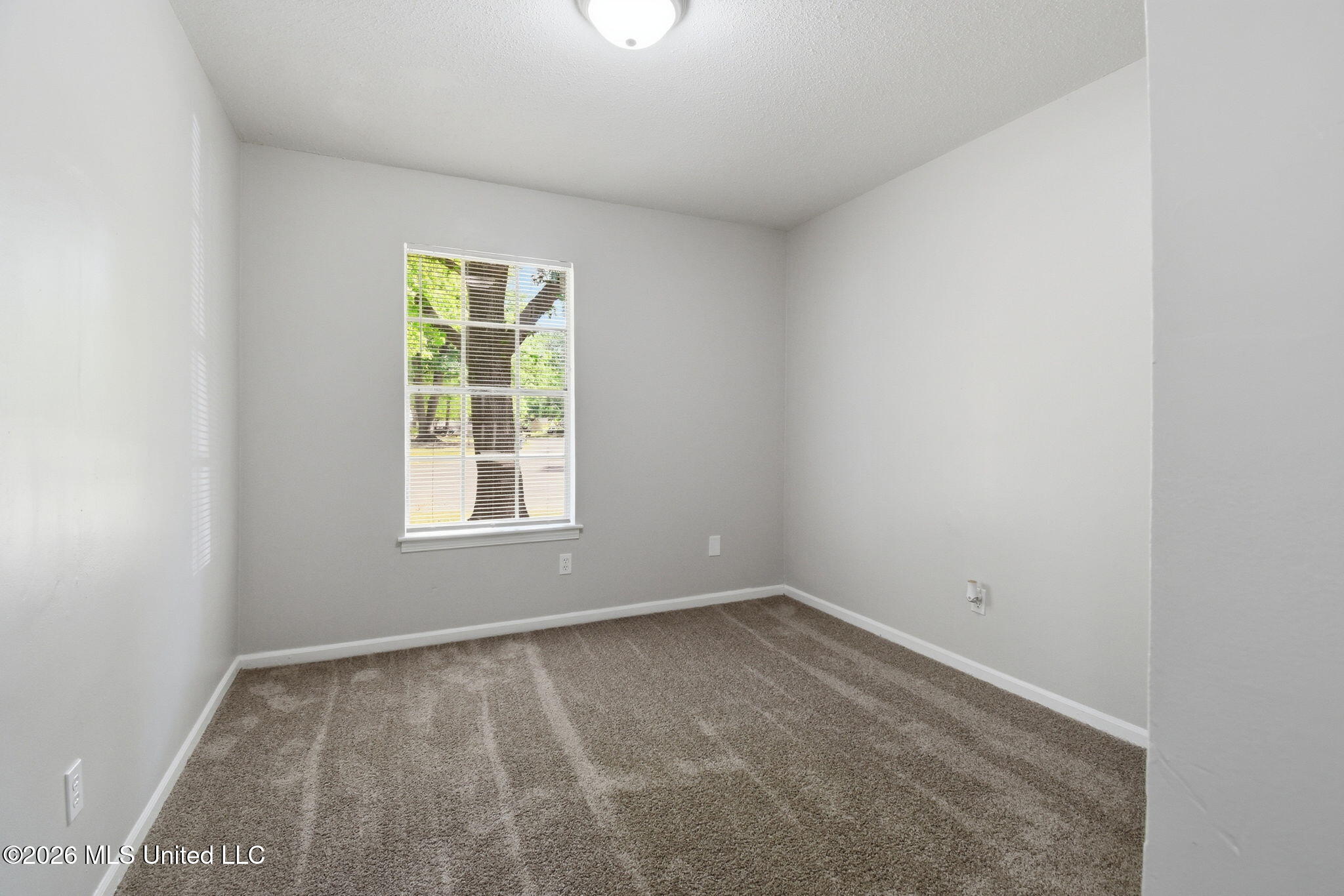 6460 Birchfield Circle Property Photo 14