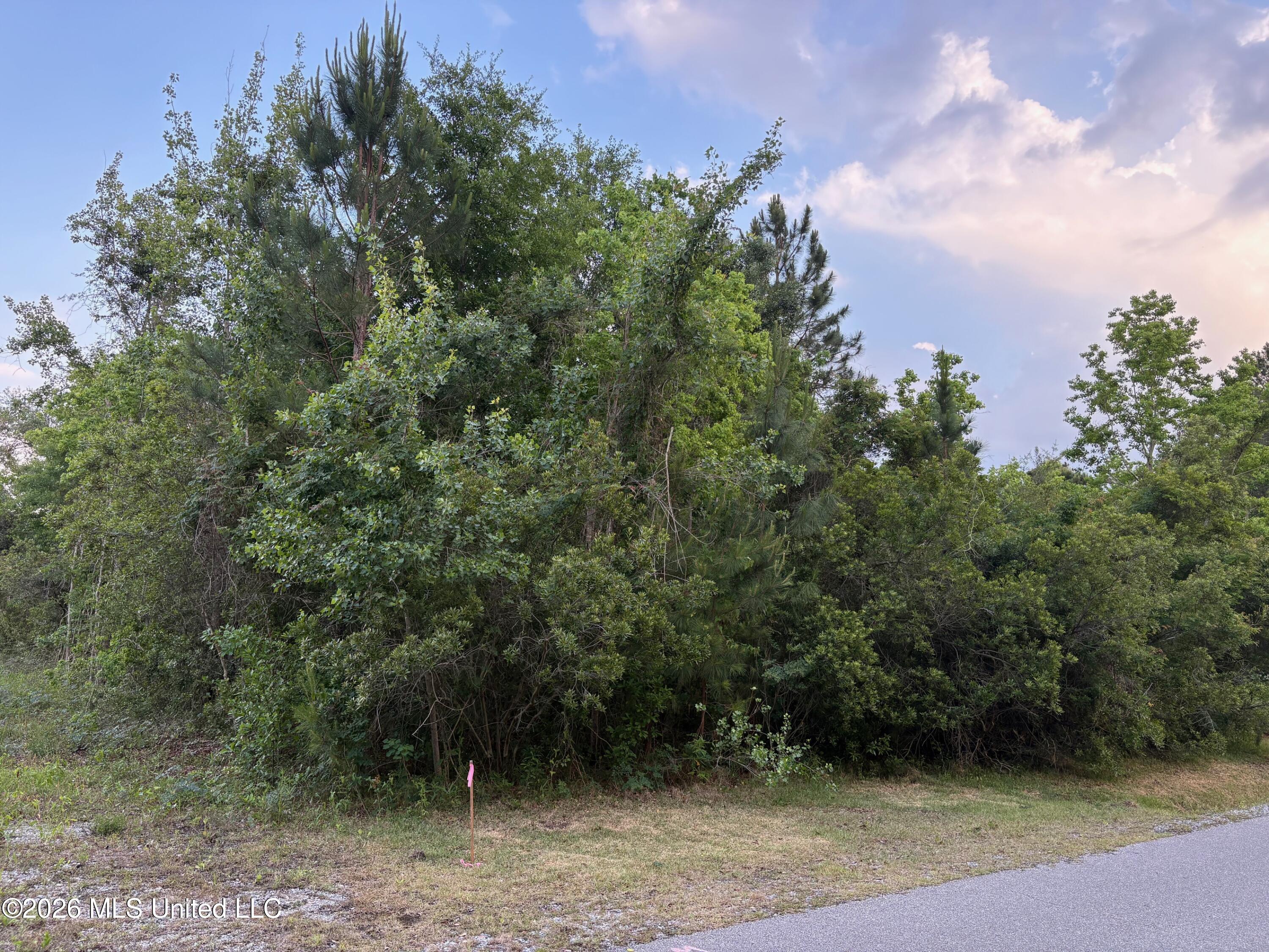 116 Engman Avenue Property Photo 2