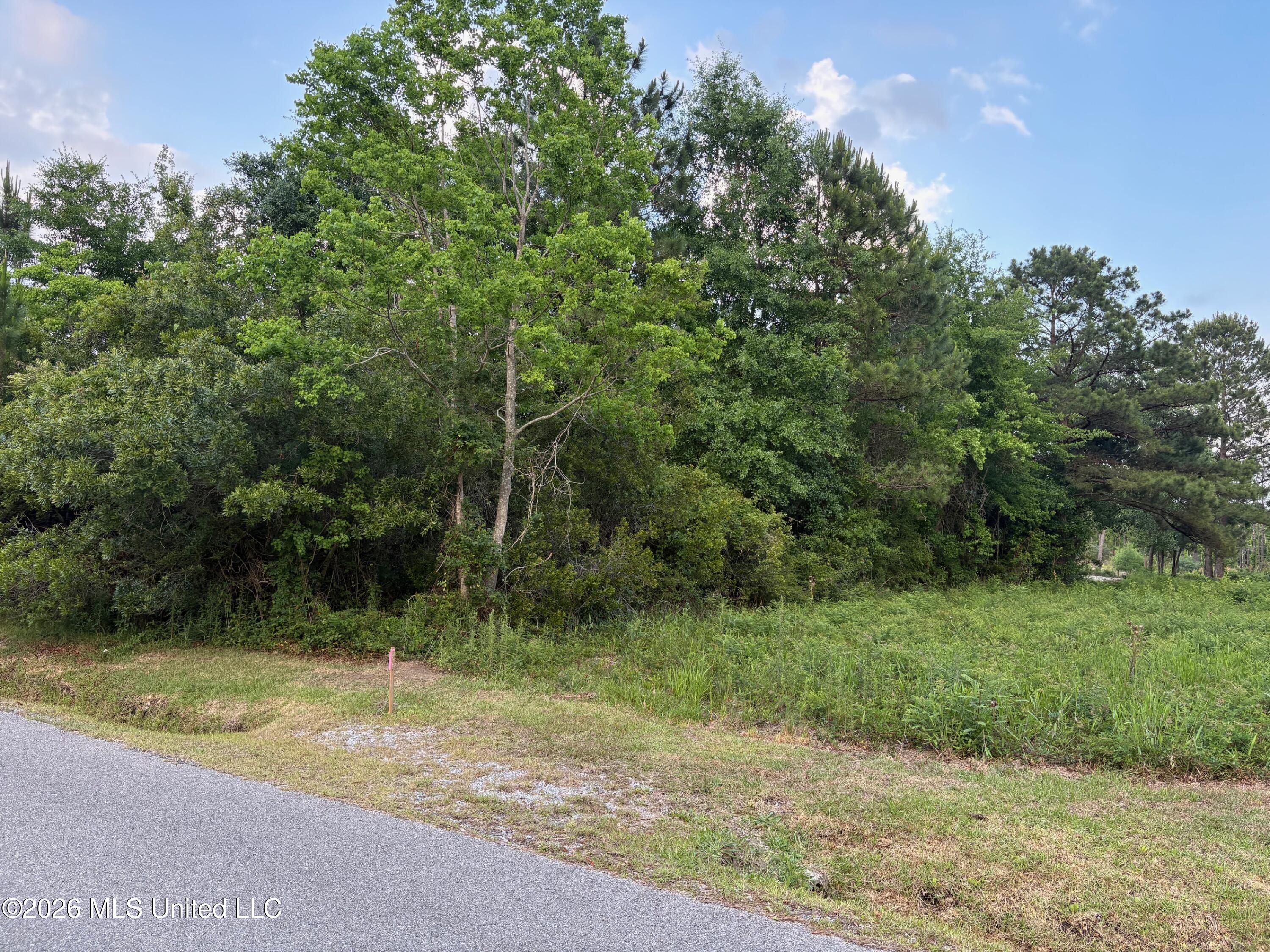 116 Engman Avenue Property Photo 3