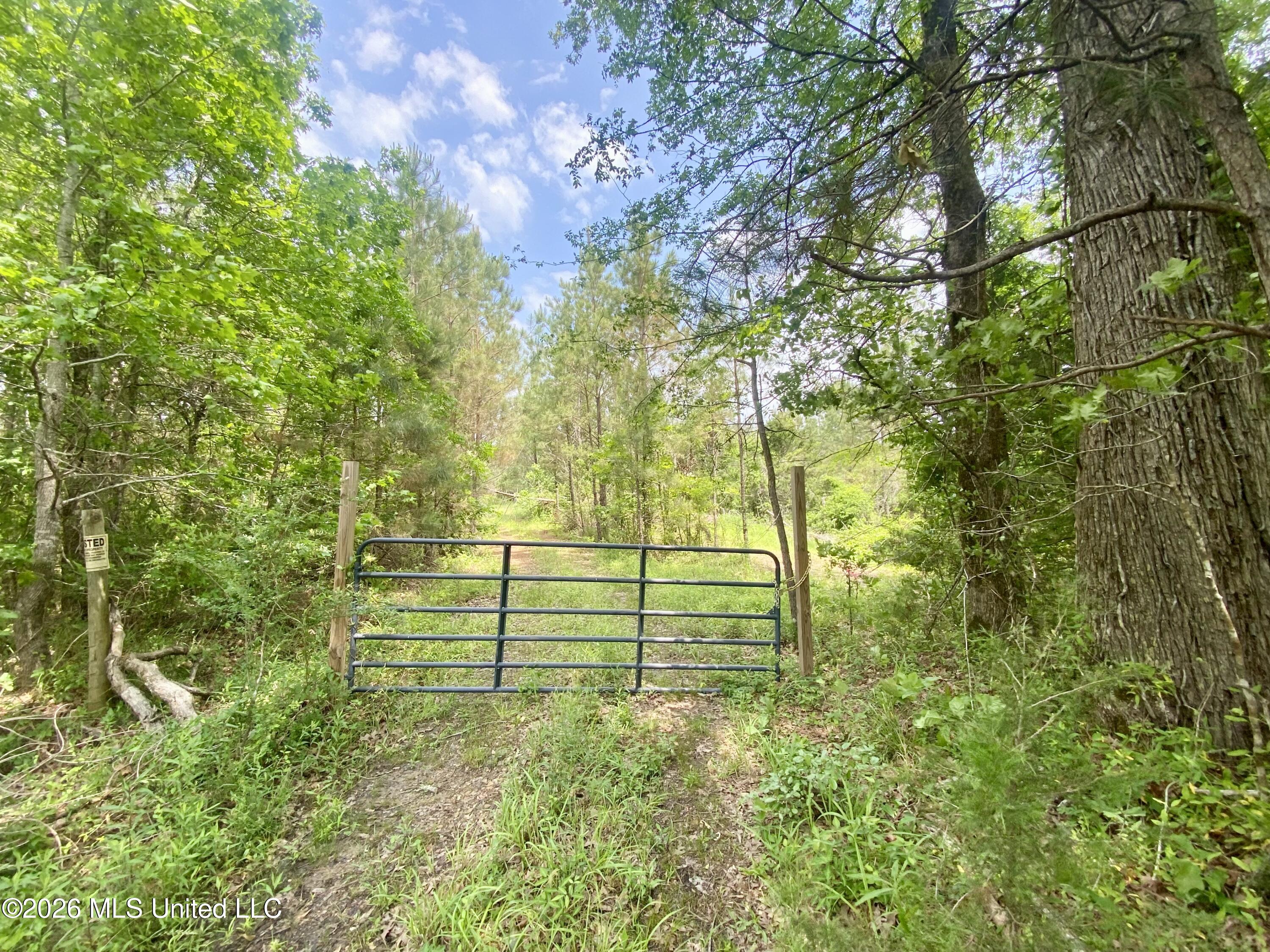 0 Henry Harris Road Property Photo 2