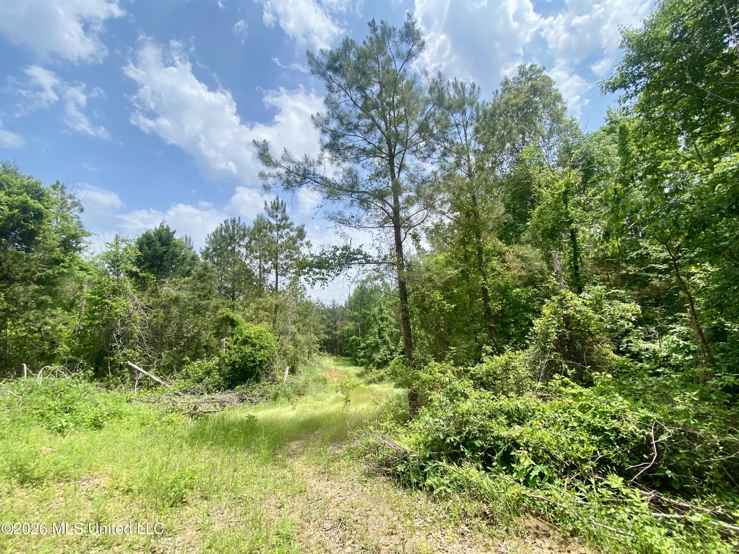 0 Henry Harris Road Property Photo 7