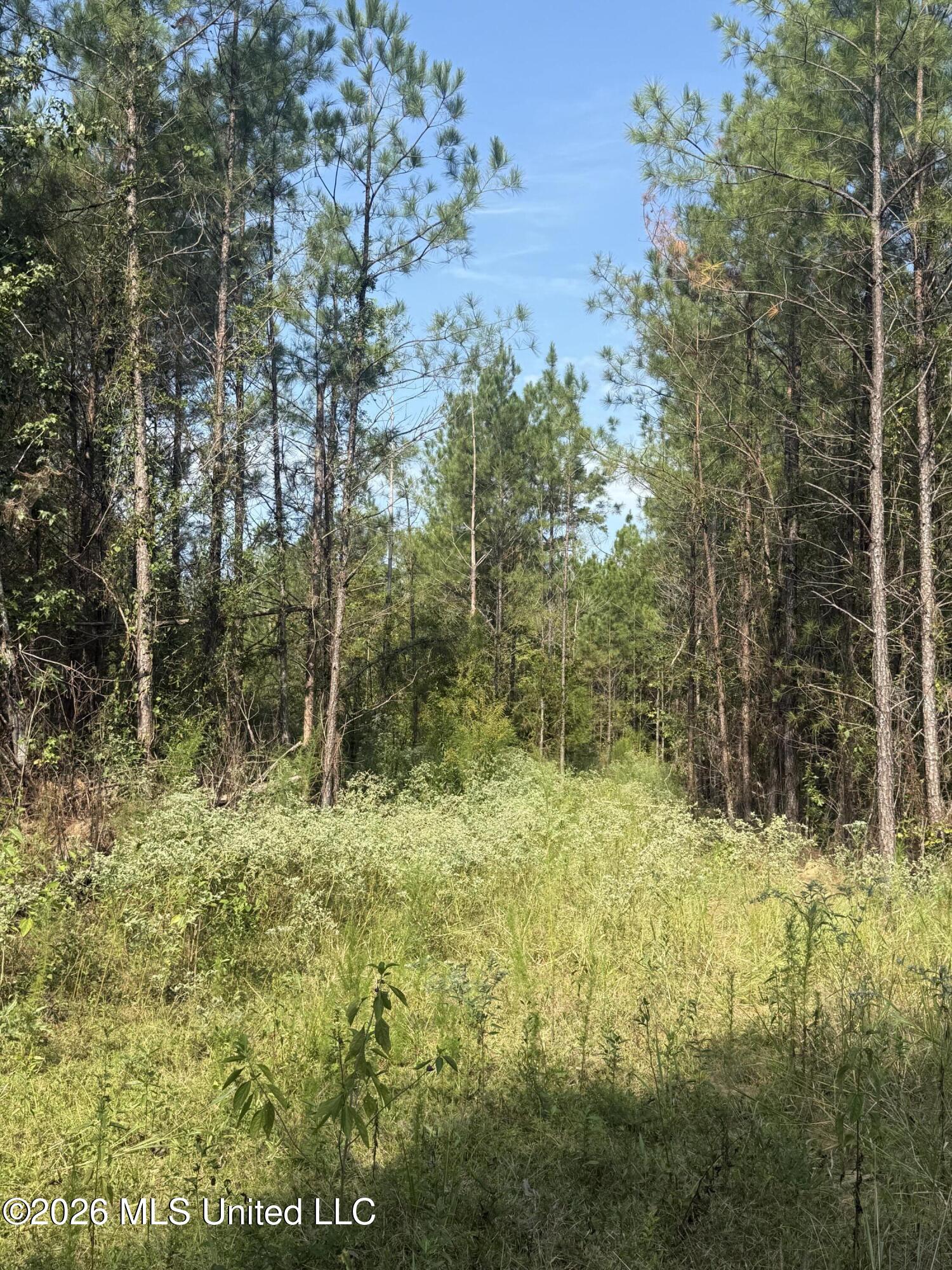 0 Henry Harris Road Property Photo 12