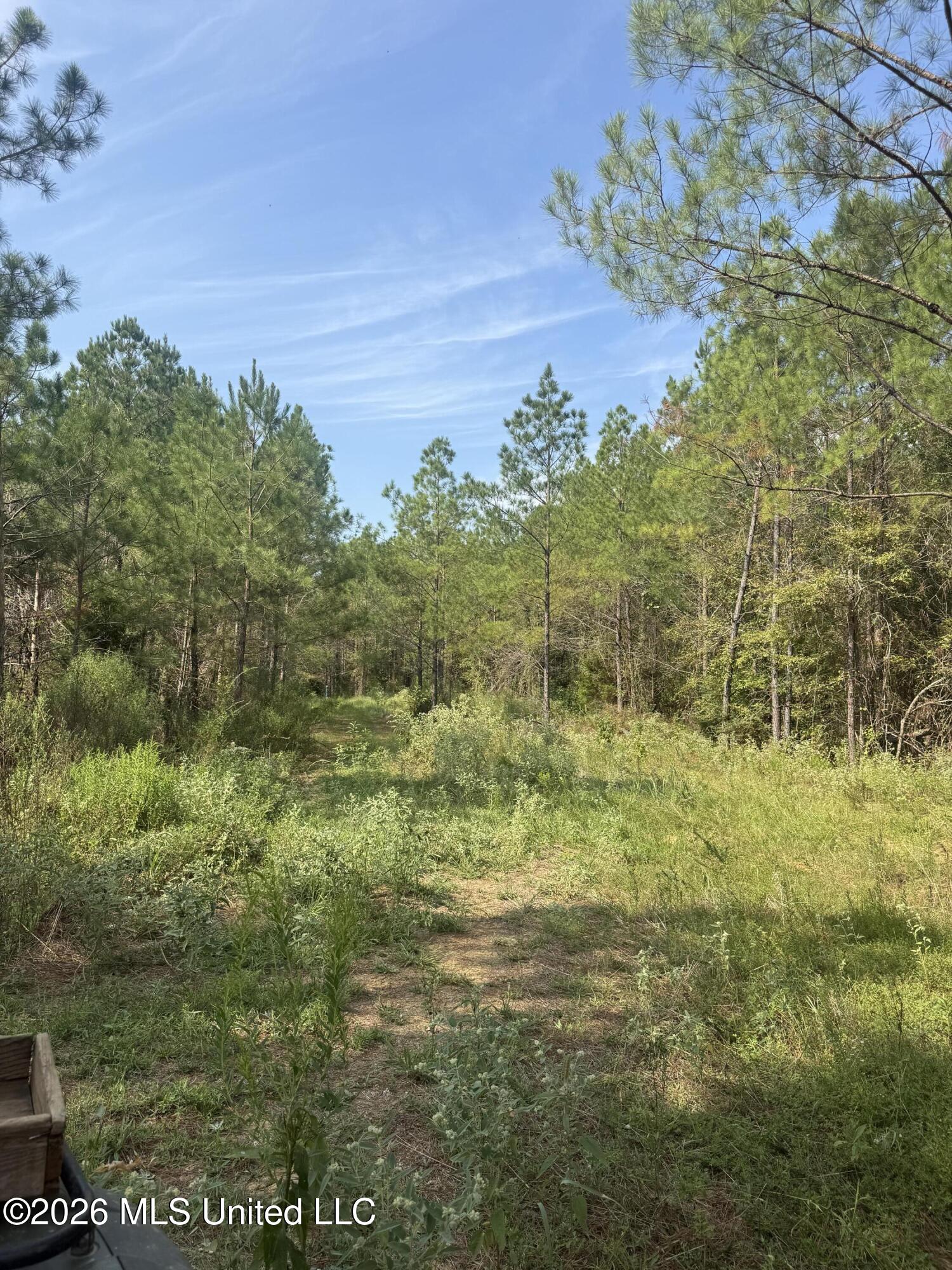 0 Henry Harris Road Property Photo 18