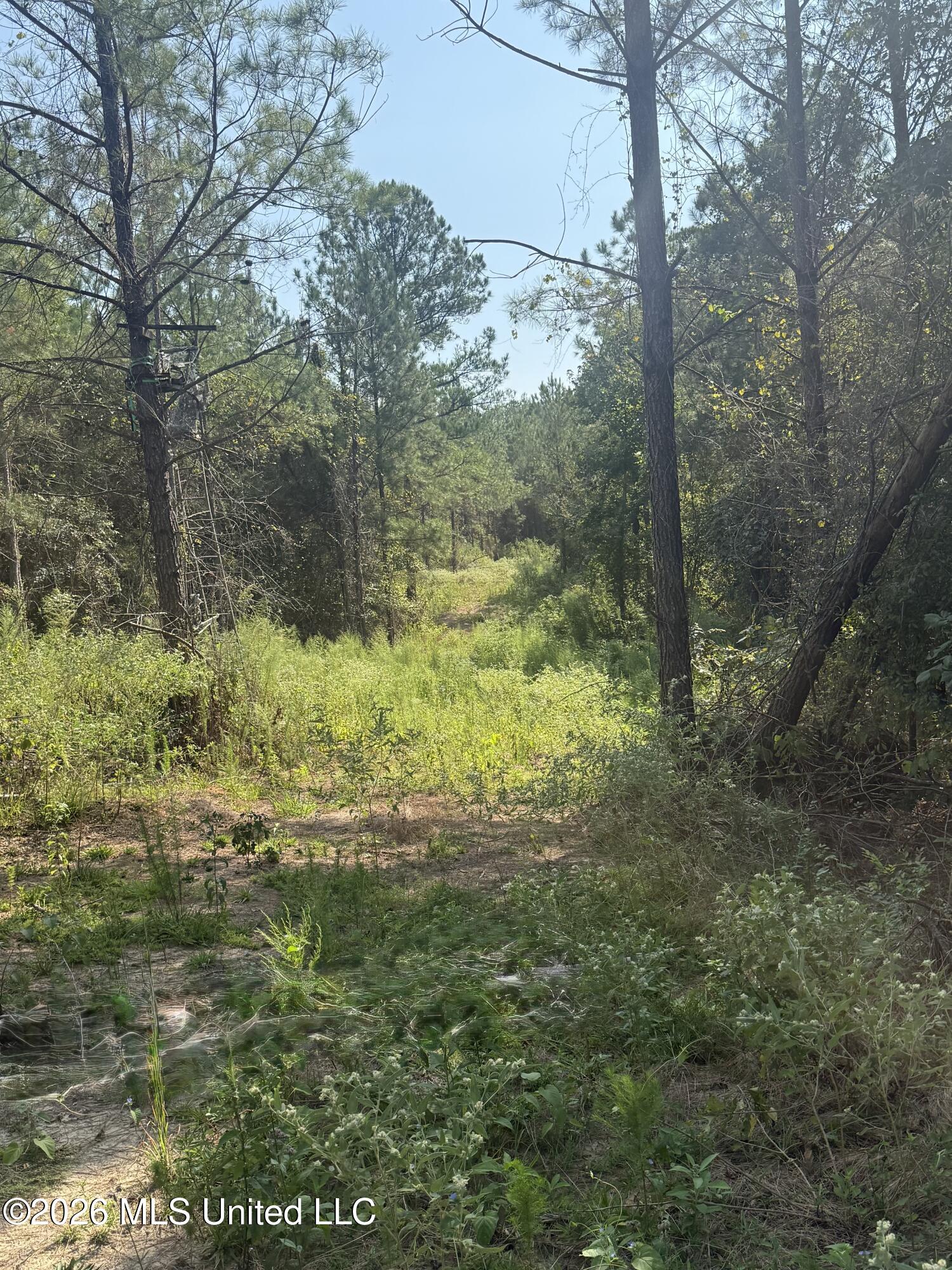 0 Henry Harris Road Property Photo 24