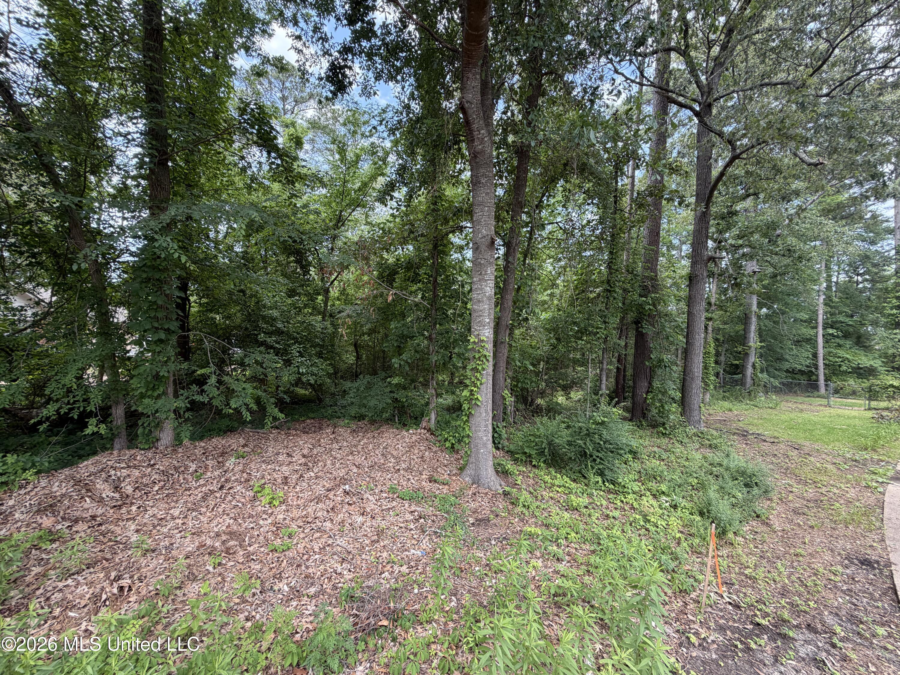 136 Plum Tree Road Property Photo 1