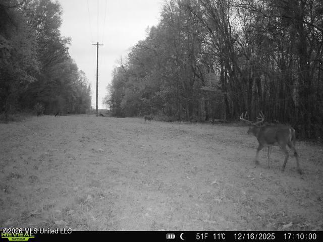 902 Mound Street Property Photo 53