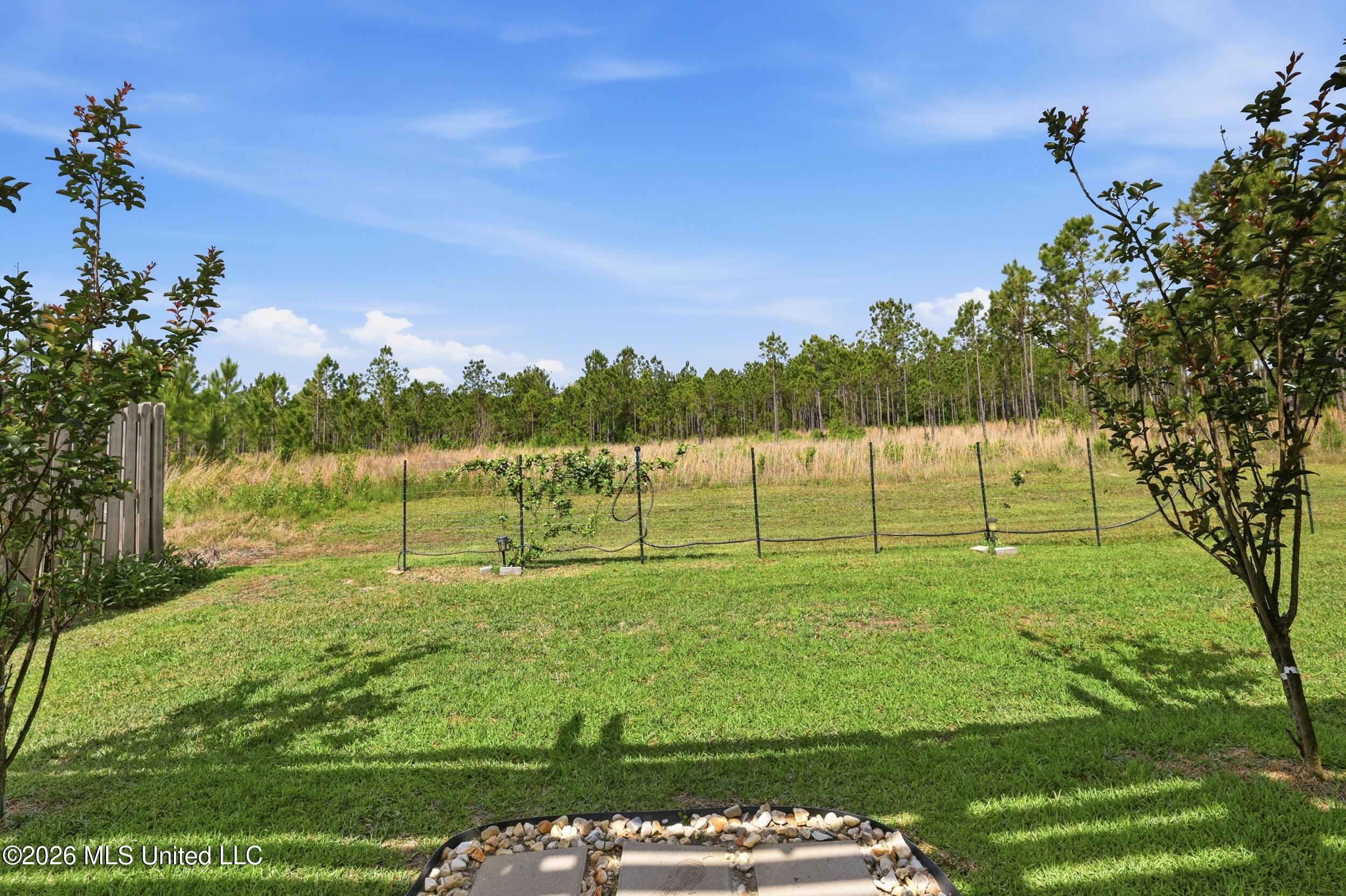 461 Palm Breeze Drive Property Photo 49