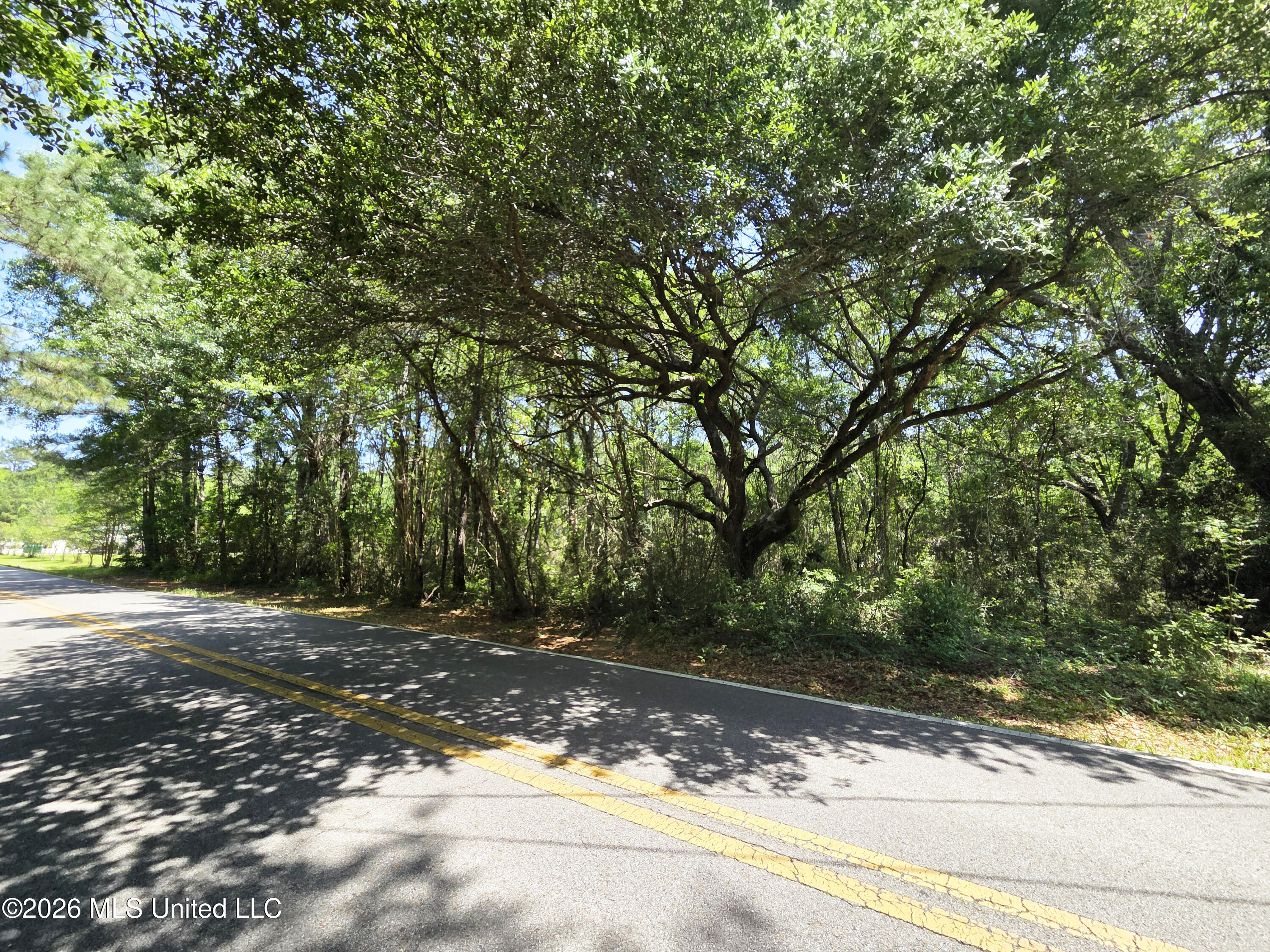 Old Spanish Trail Property Photo 2