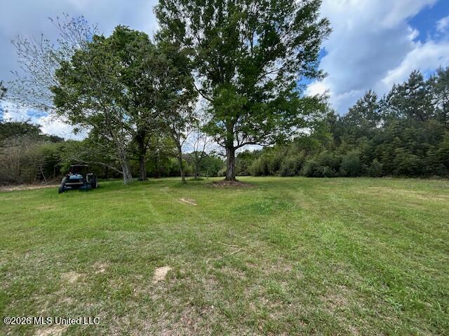 Mississippi 583 Property Photo 3