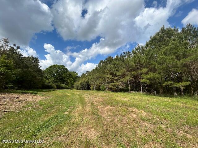 Mississippi 583 Property Photo 5