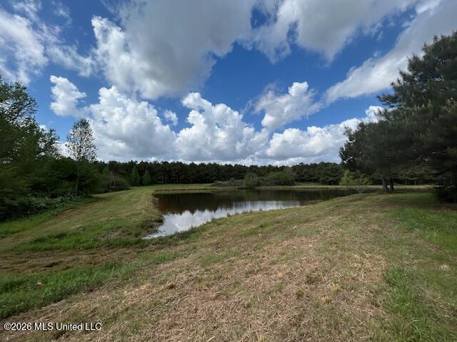 Mississippi 583 Property Photo 8