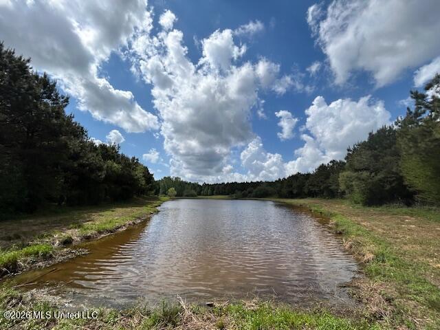 Mississippi 583 Property Photo 10