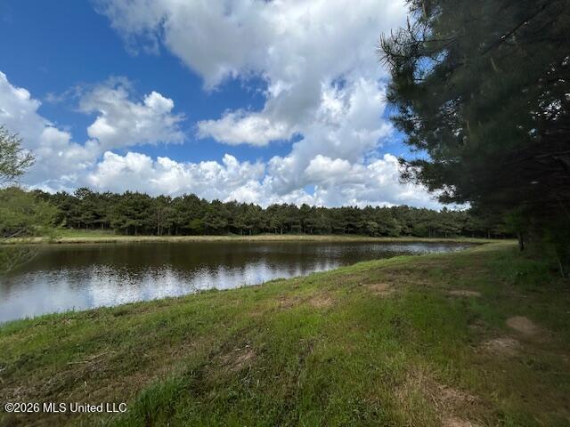 Mississippi 583 Property Photo 13