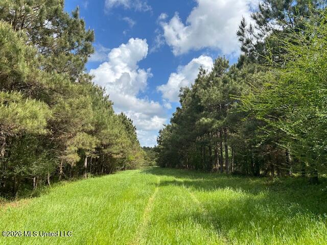 Mississippi 583 Property Photo 15