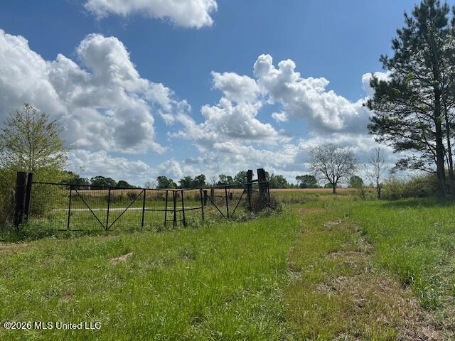 Mississippi 583 Property Photo 16