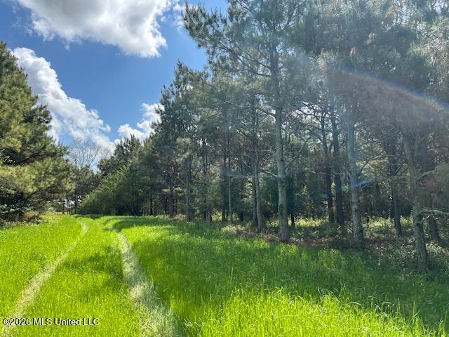 Mississippi 583 Property Photo 17