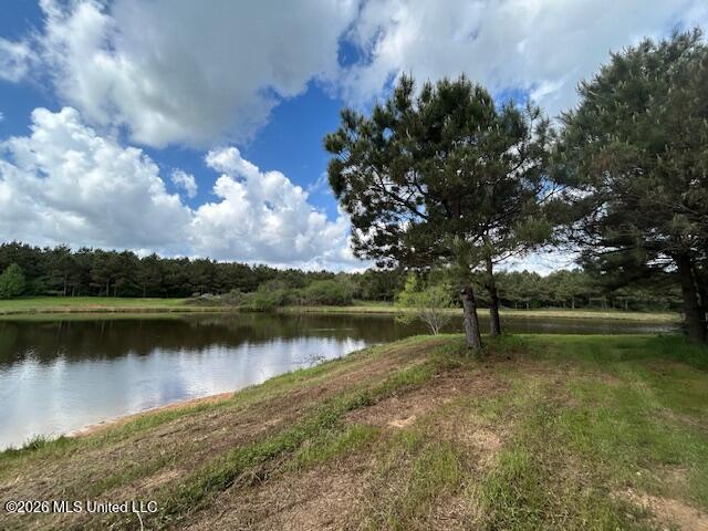 Mississippi 583 Property Photo 19