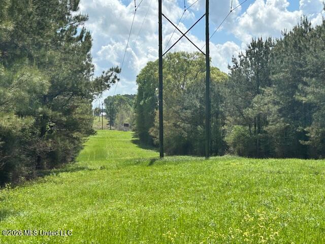 Mississippi 583 Property Photo 33