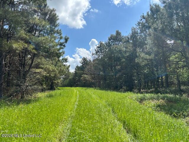 Mississippi 583 Property Photo 64