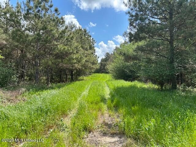 Mississippi 583 Property Photo 65