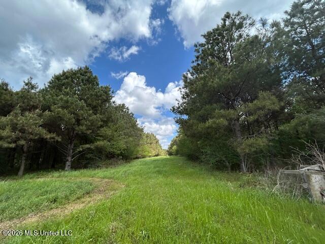 Mississippi 583 Property Photo 70