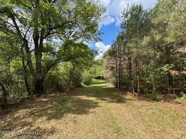 Mississippi 583 Property Photo 71